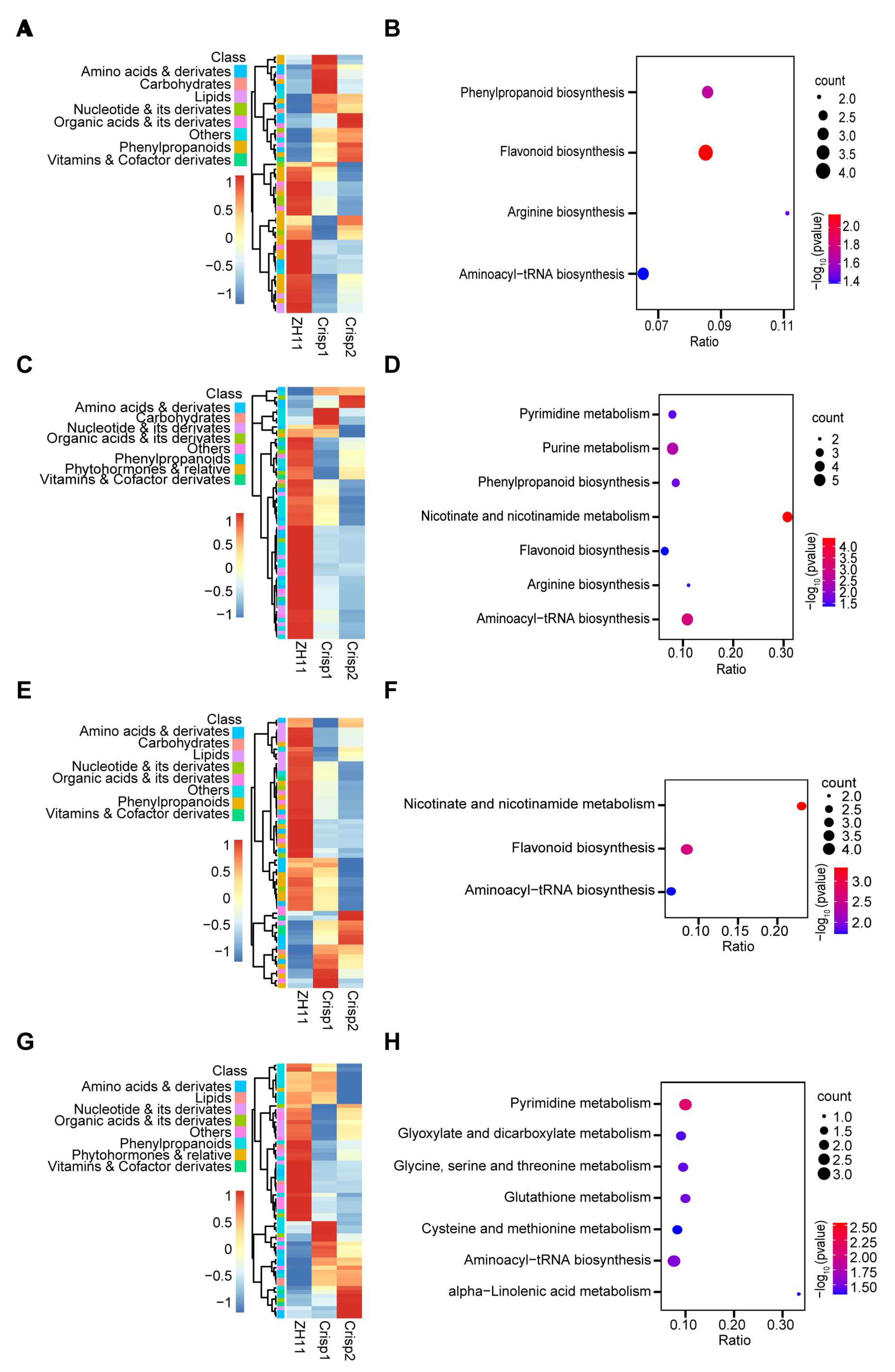 Plants 13 00498 g005