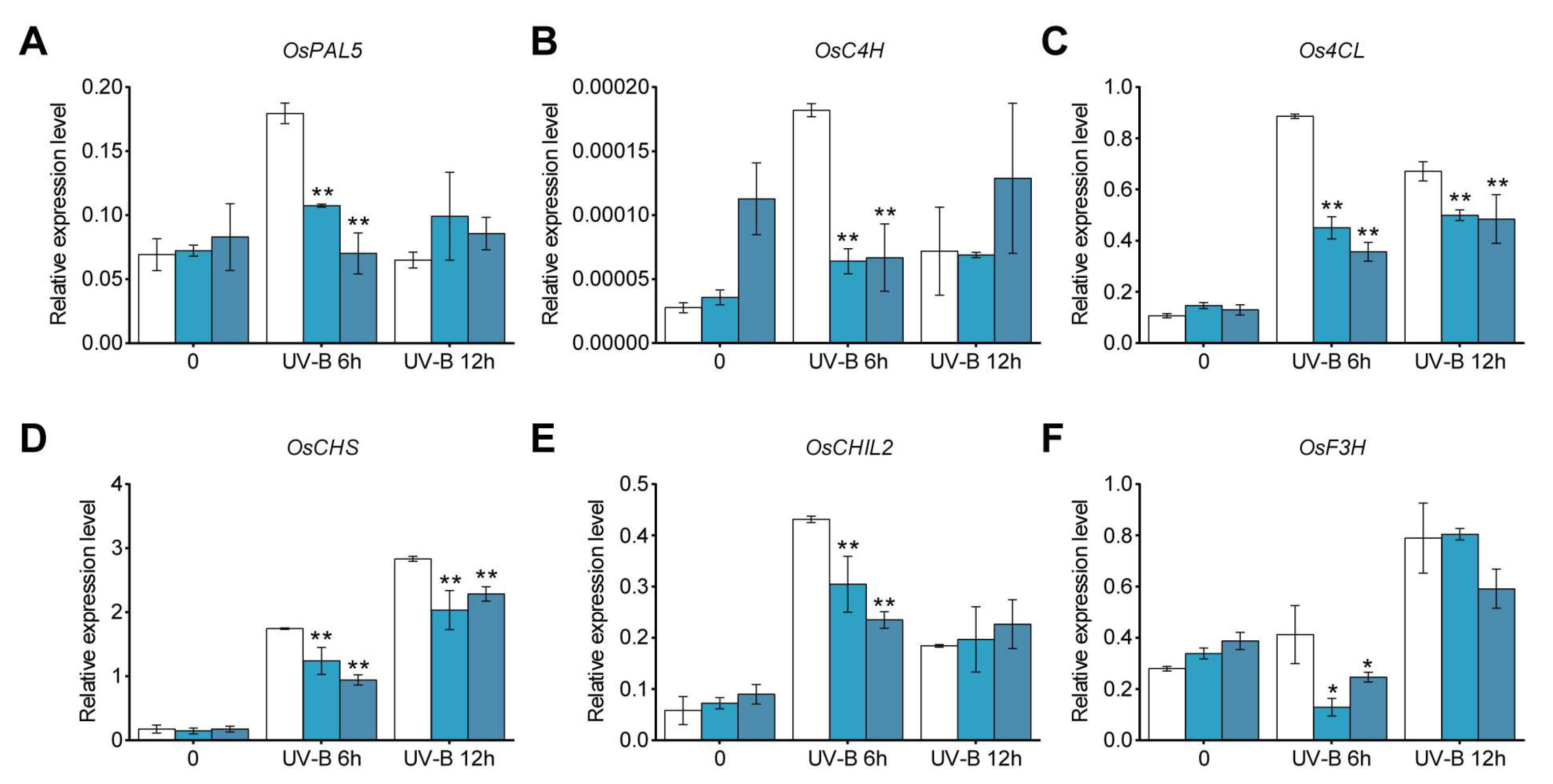 Plants 13 00498 g006
