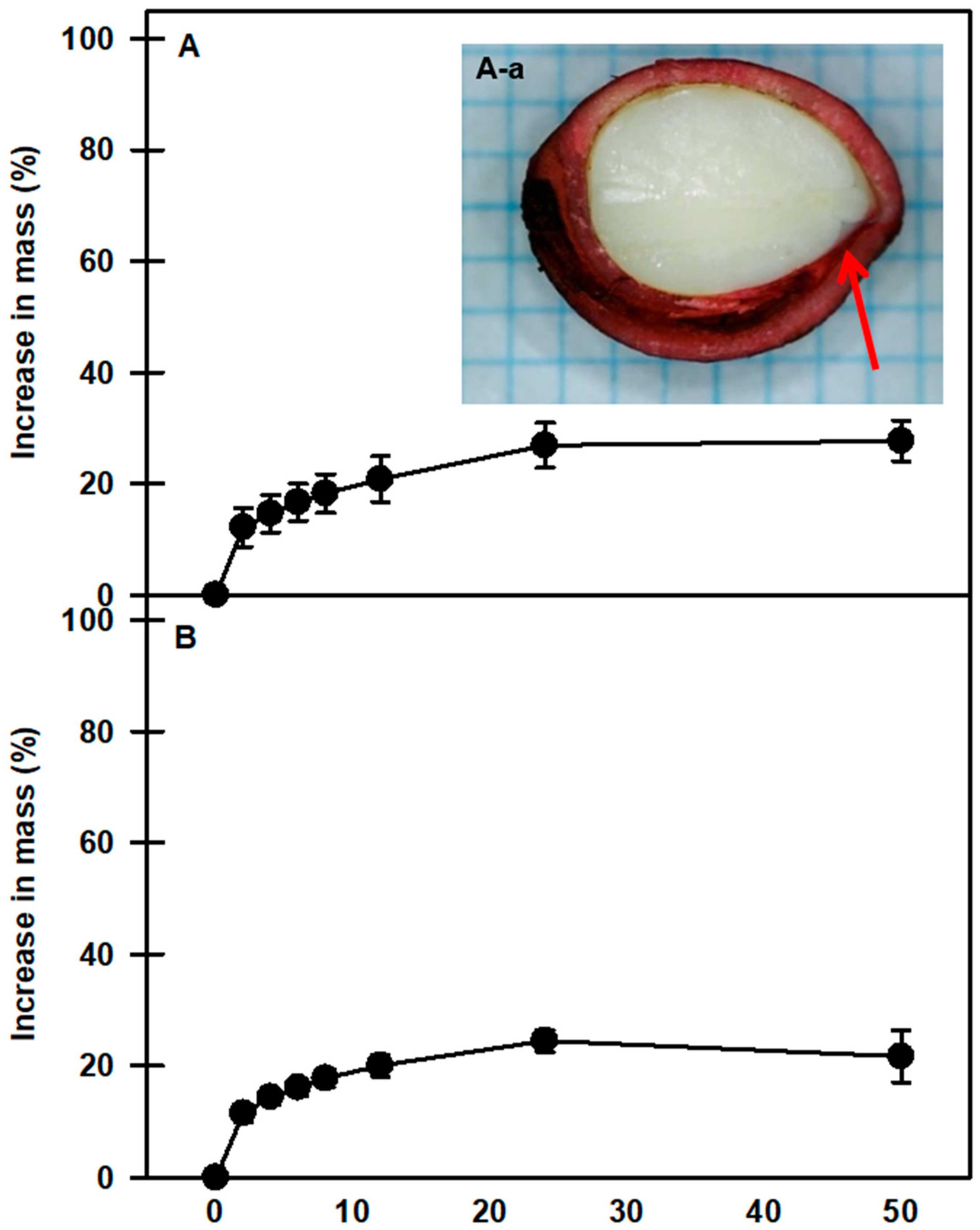 Plants 13 00502 g002