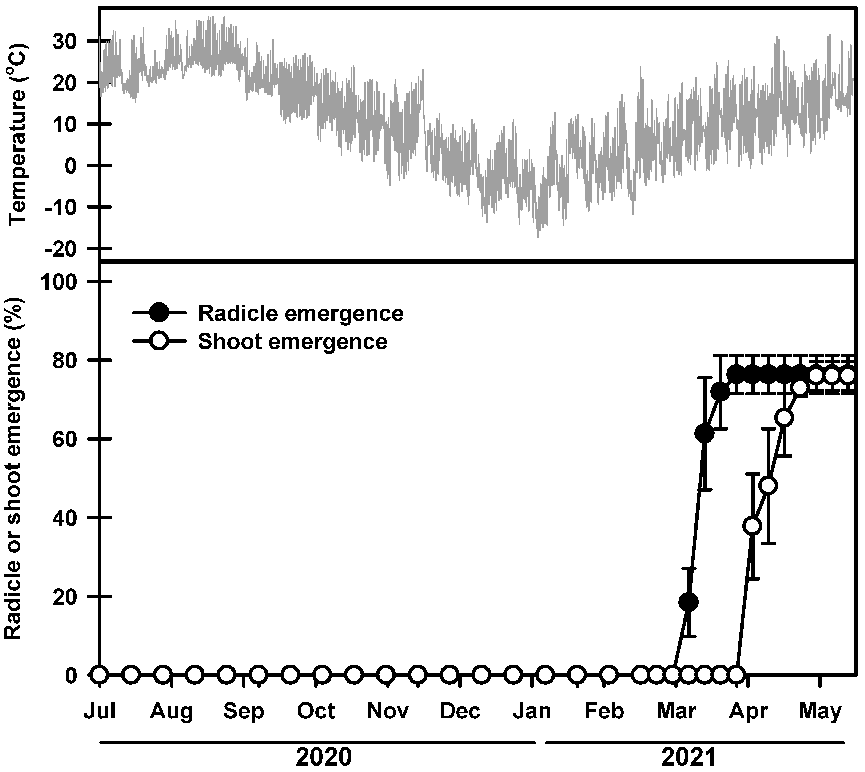 Plants 13 00502 g003