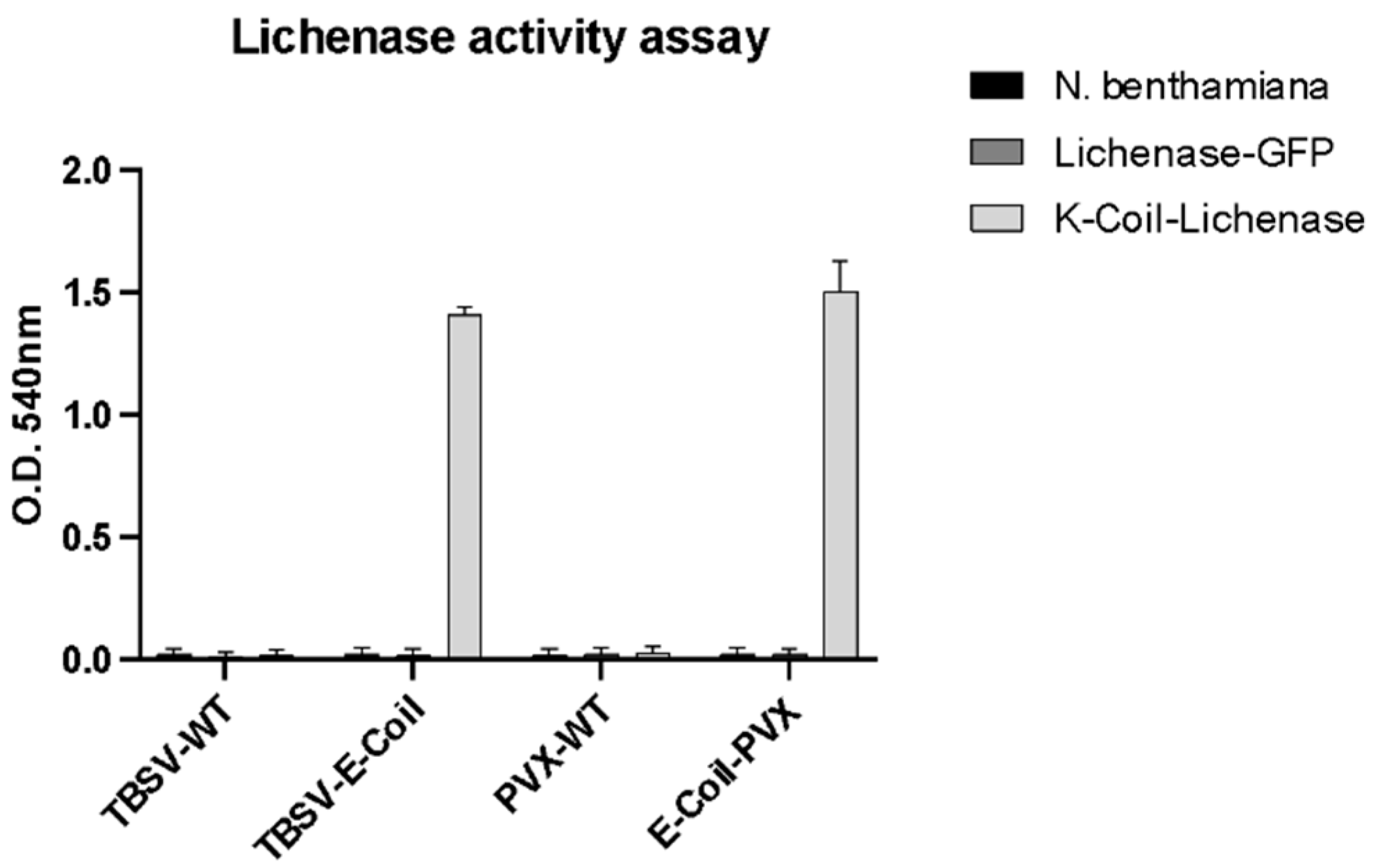 Plants 13 00503 g002