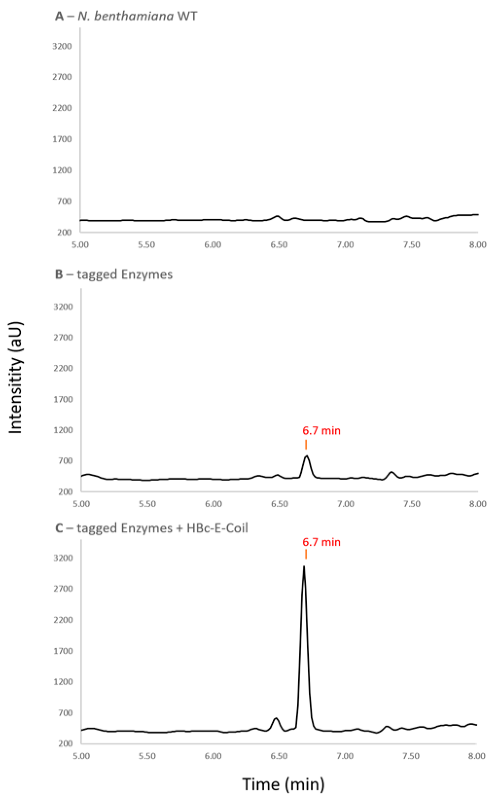 Plants 13 00503 g004