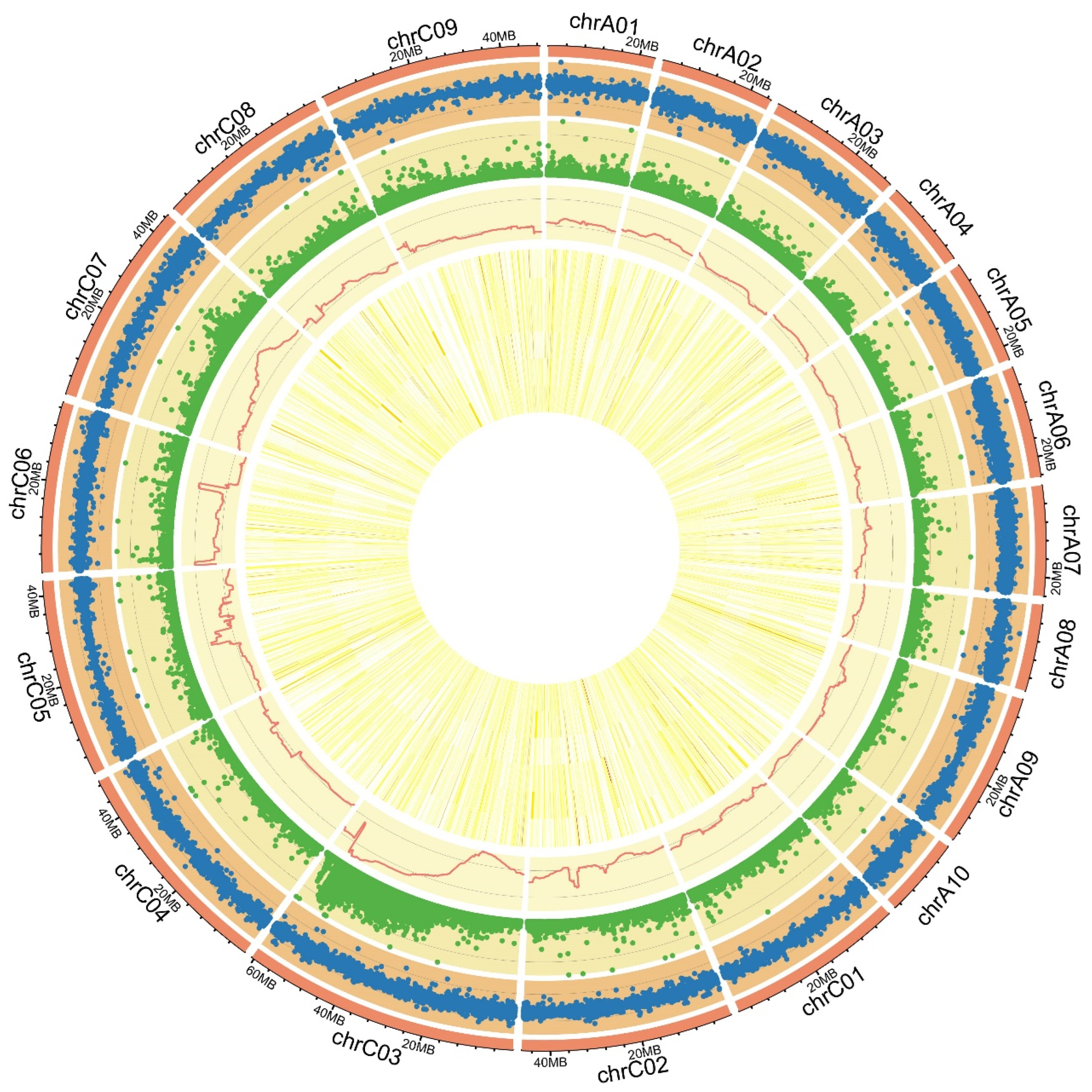 Plants 13 00507 g002