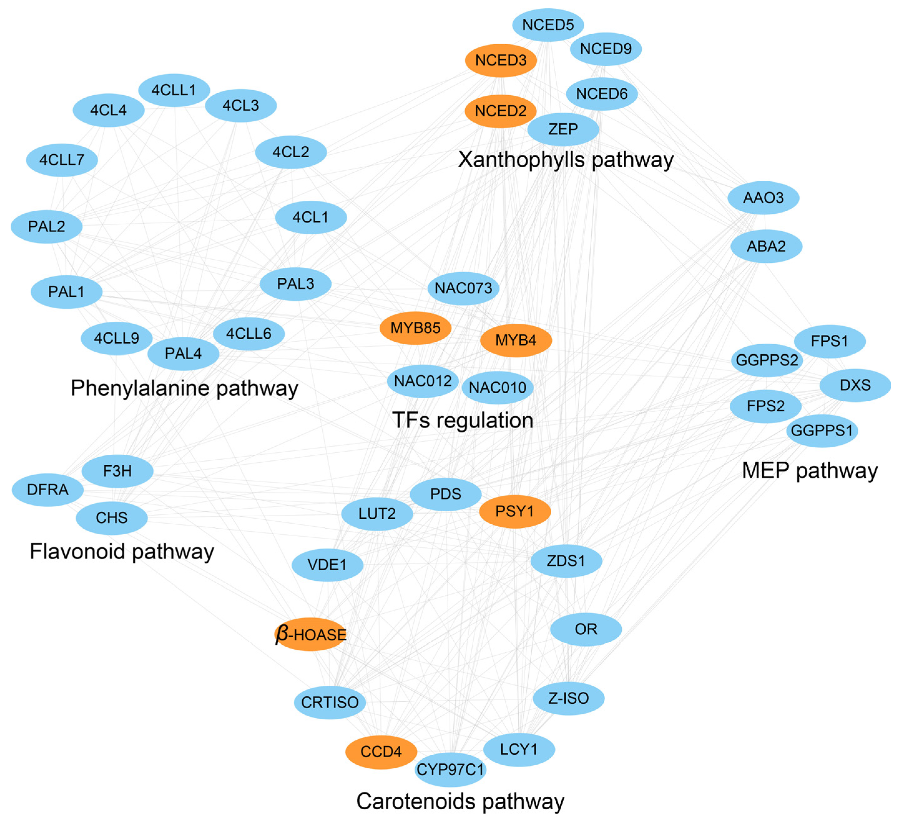 Plants 13 00507 g006