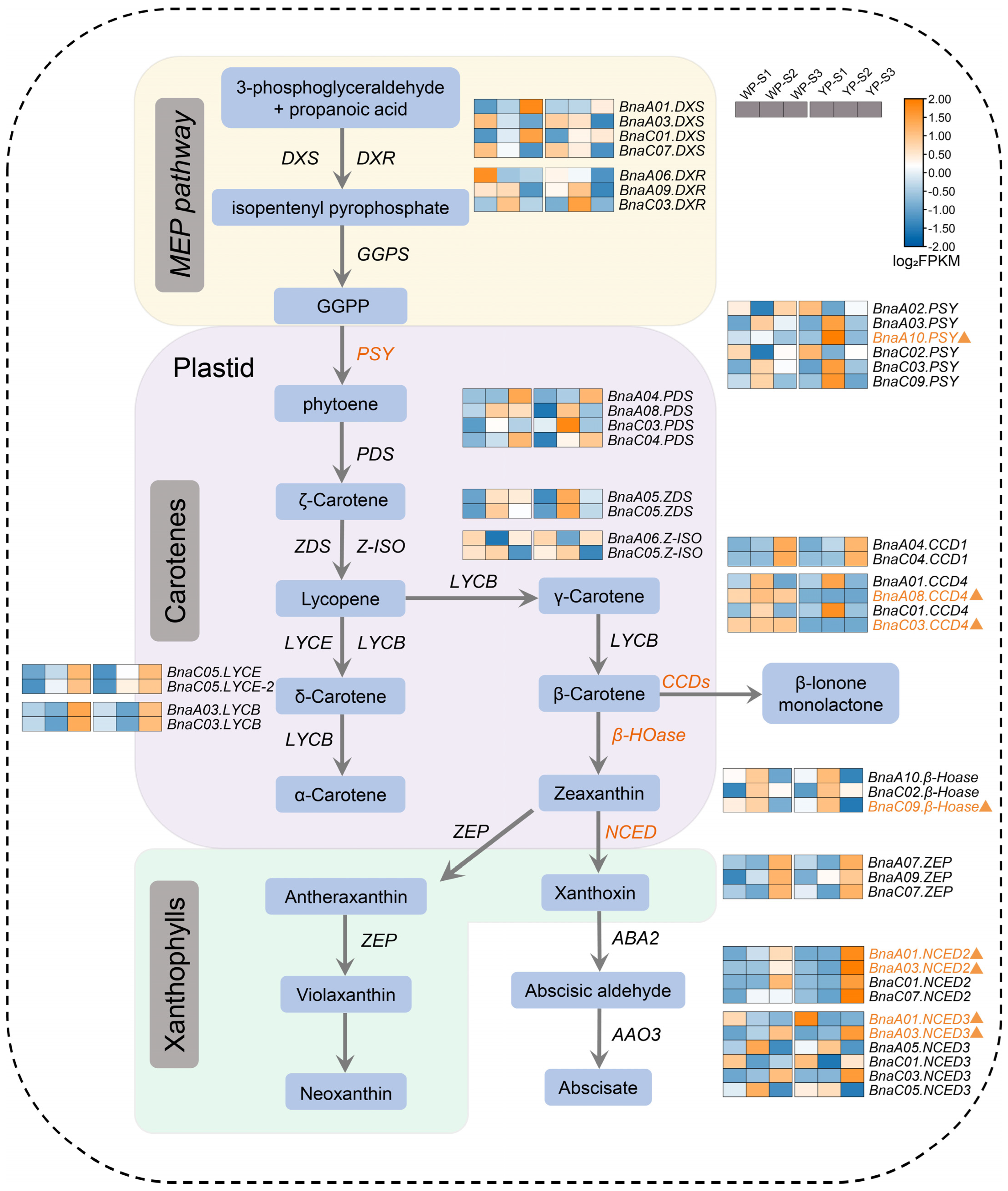 Plants 13 00507 g007