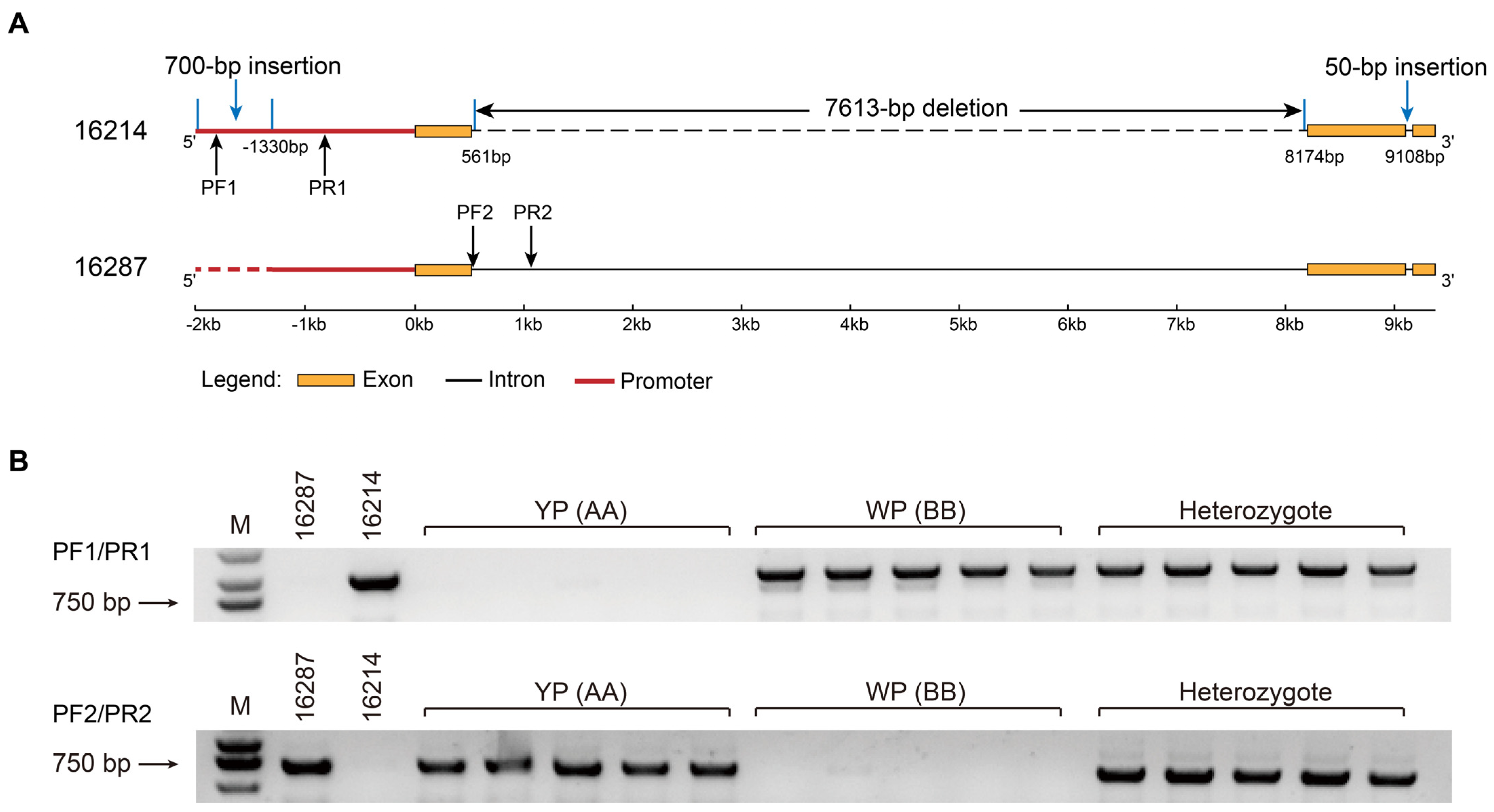 Plants 13 00507 g008