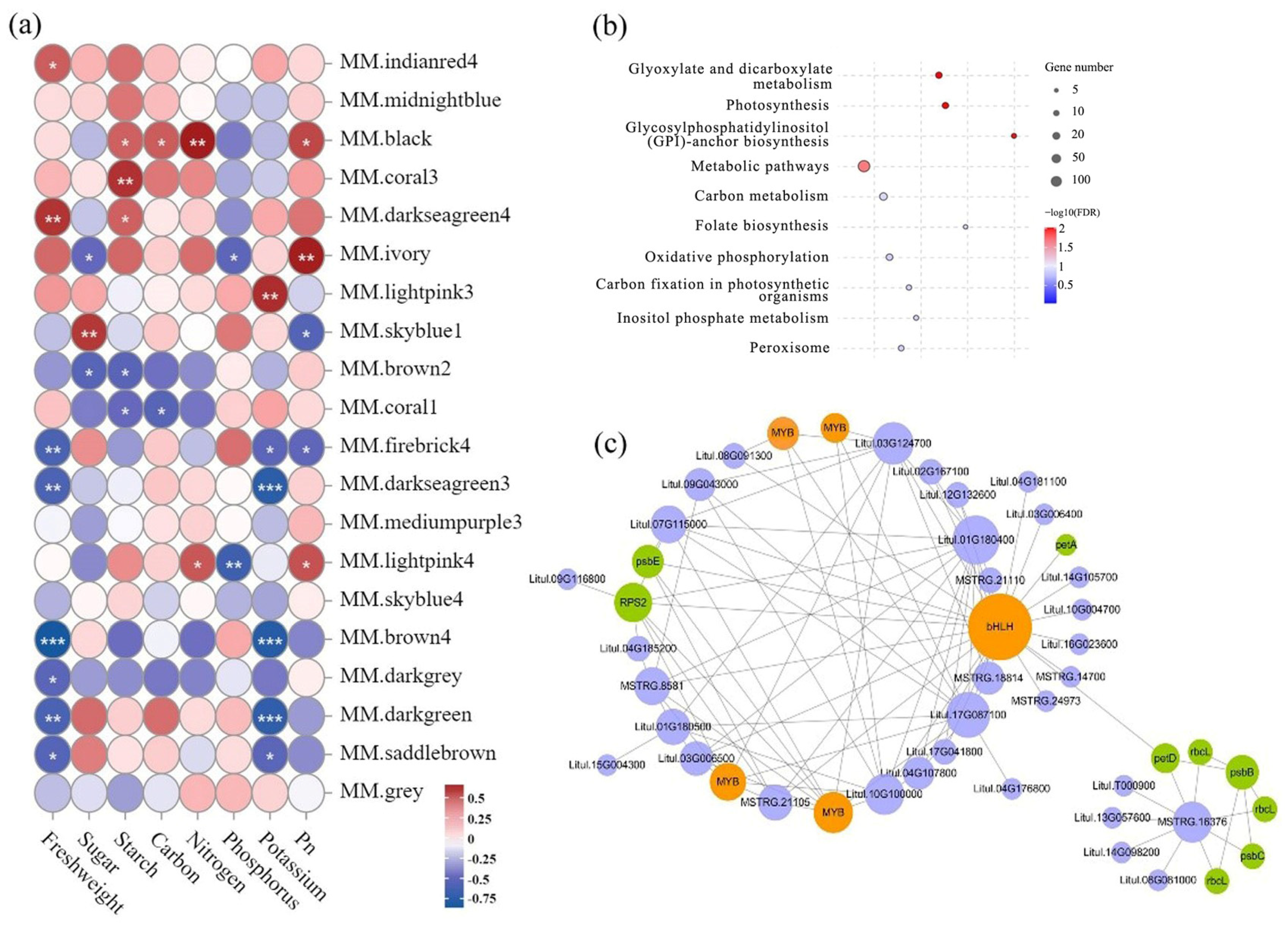 Plants 13 00508 g006