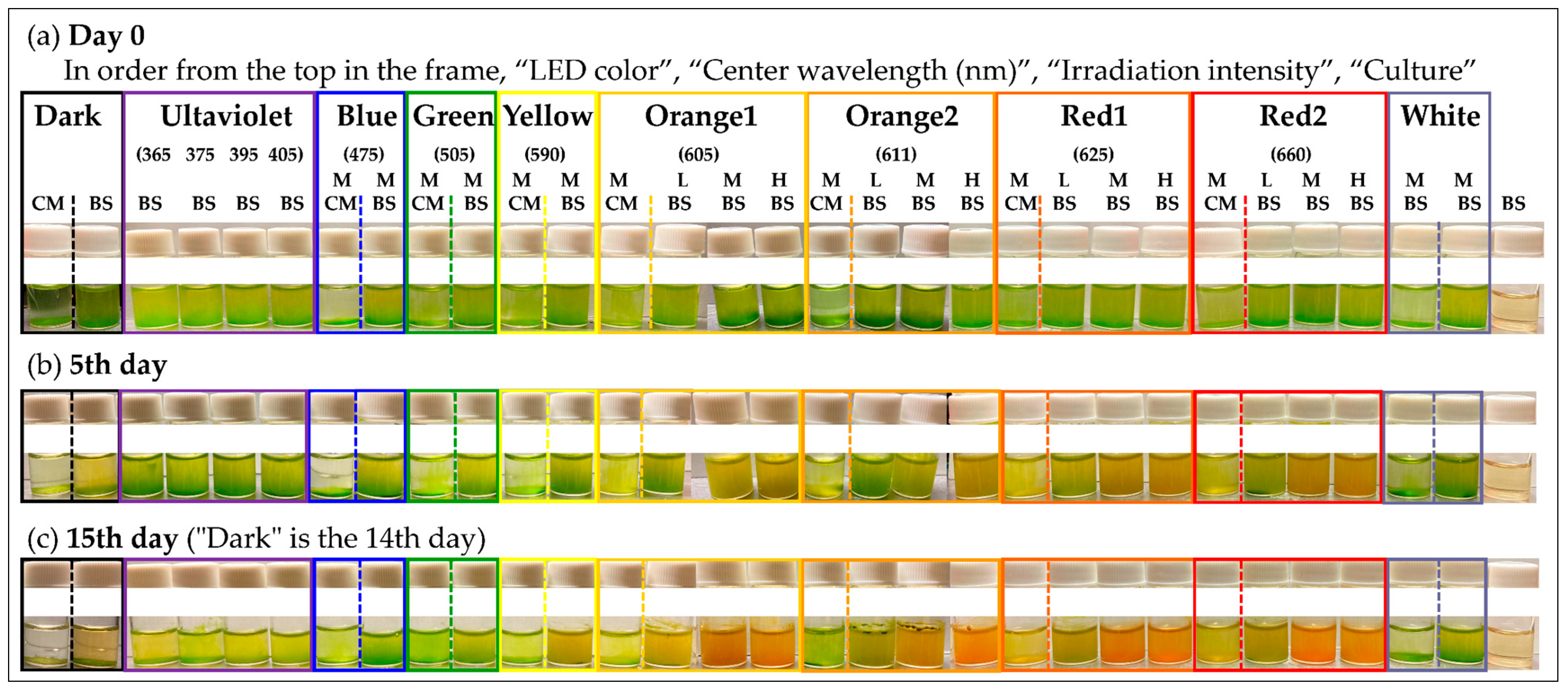 Plants 13 00510 g002