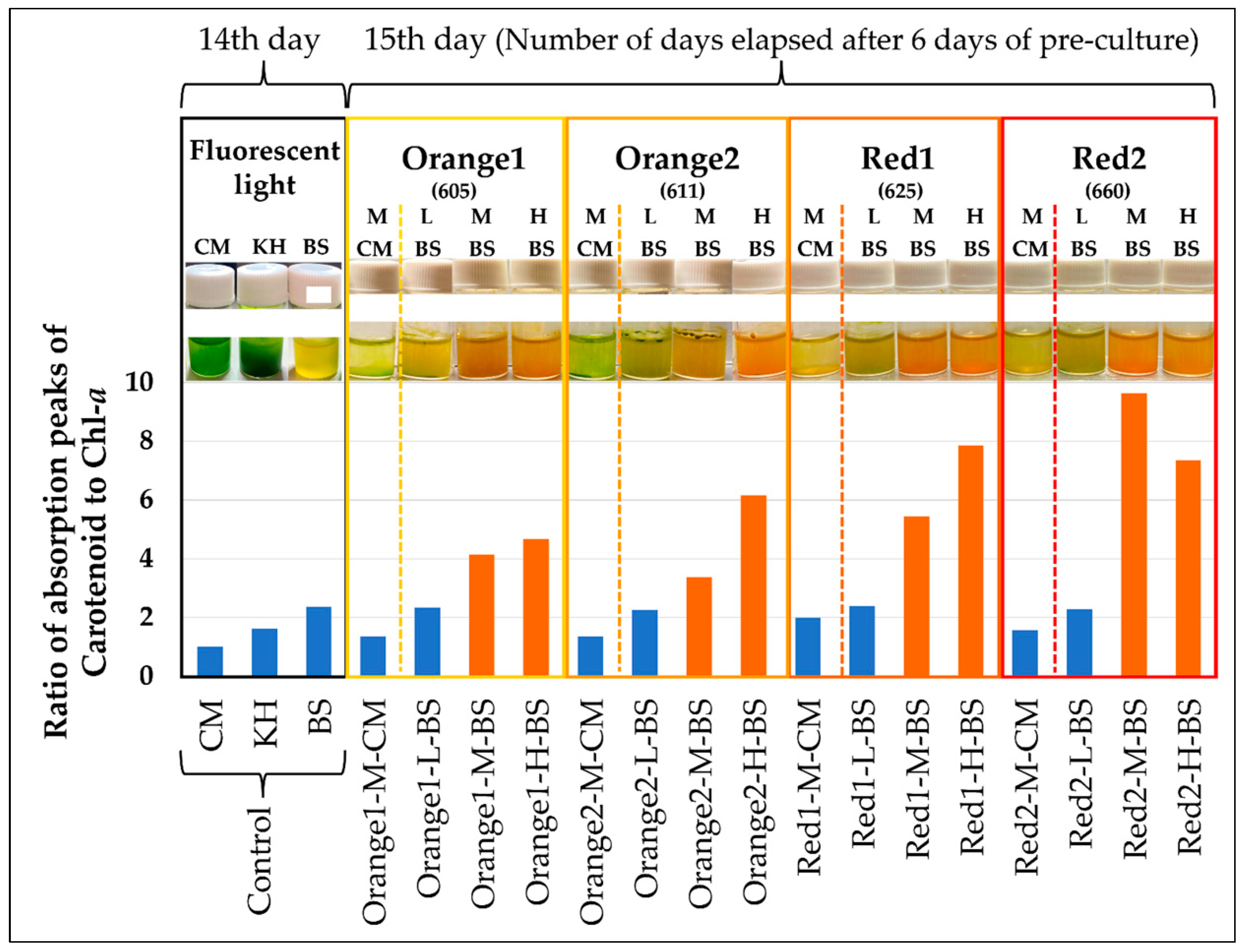 Plants 13 00510 g004