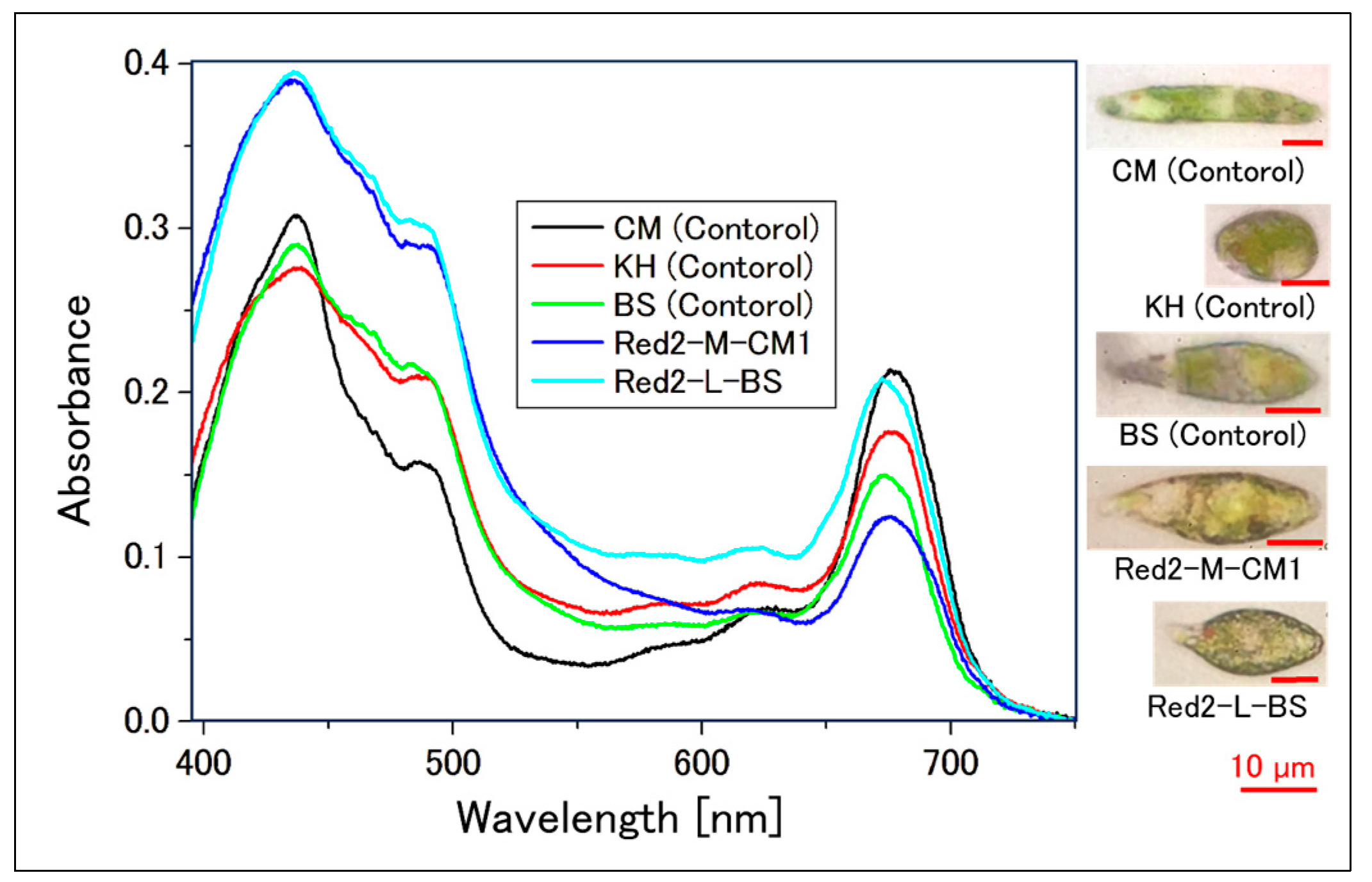 Plants 13 00510 g005