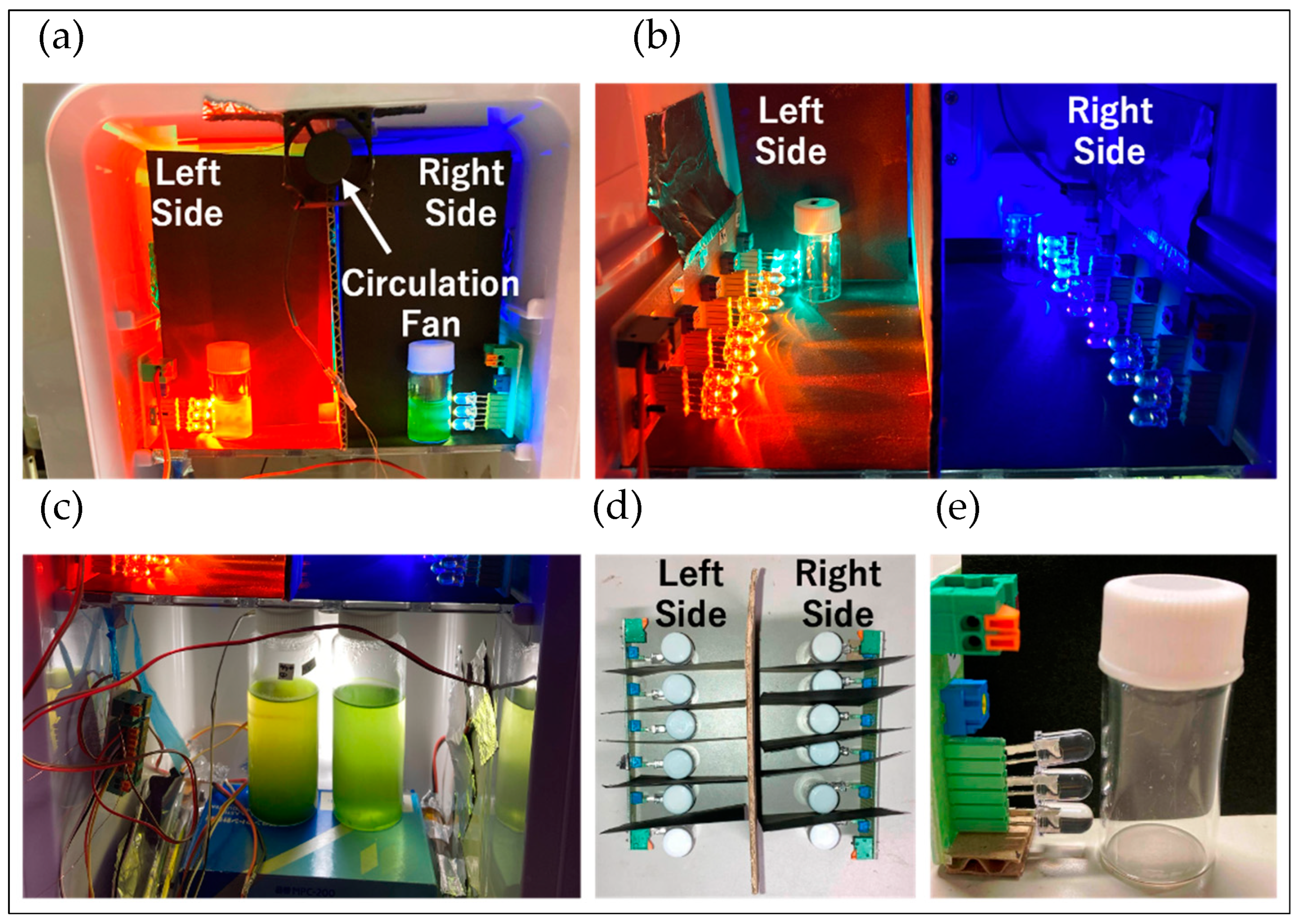 Plants 13 00510 g015