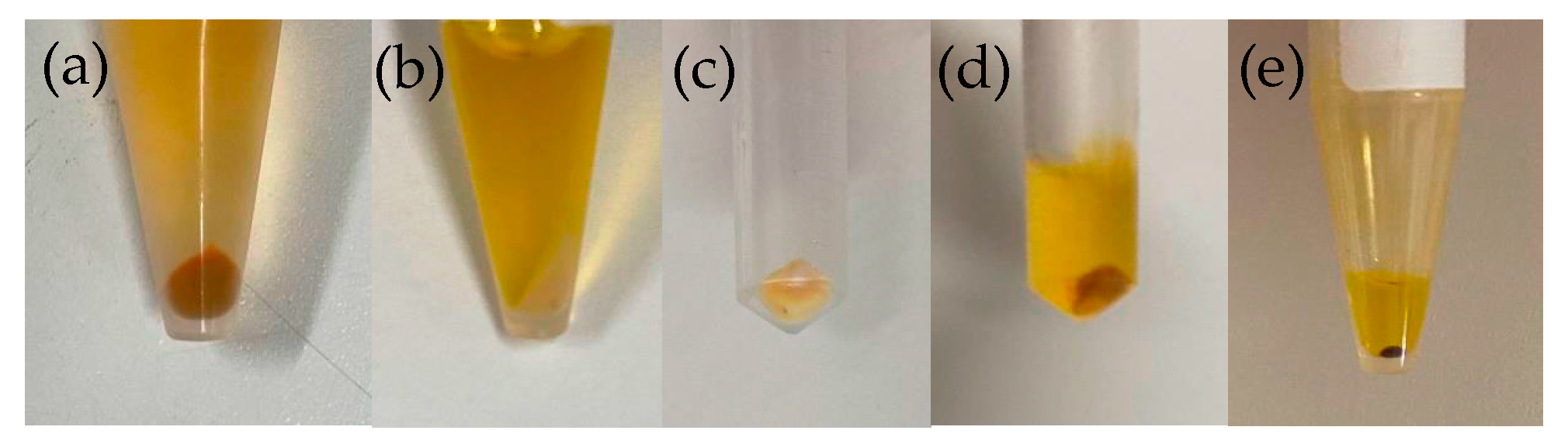 Plants 13 00510 g017