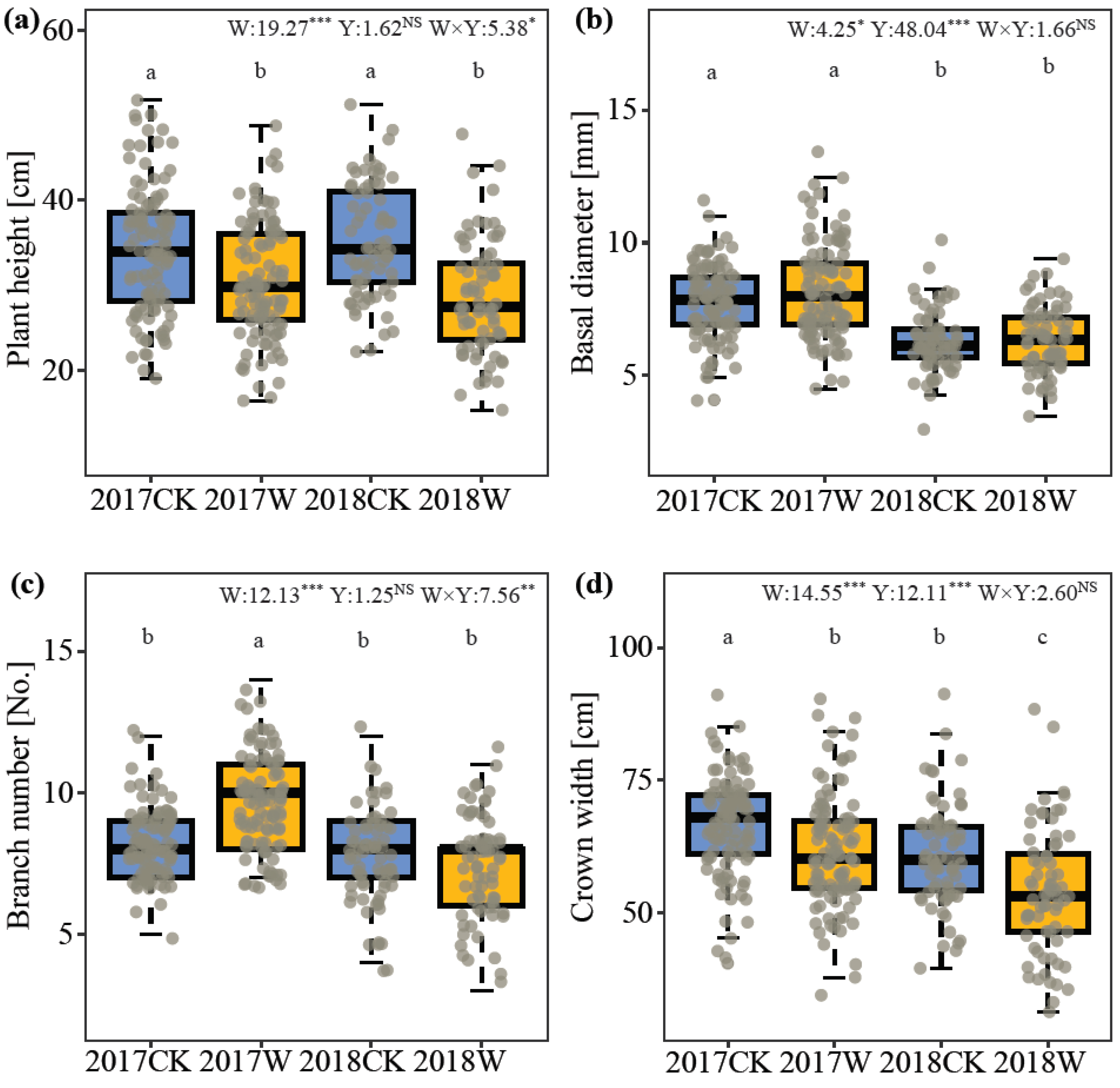 Plants 13 00511 g001a