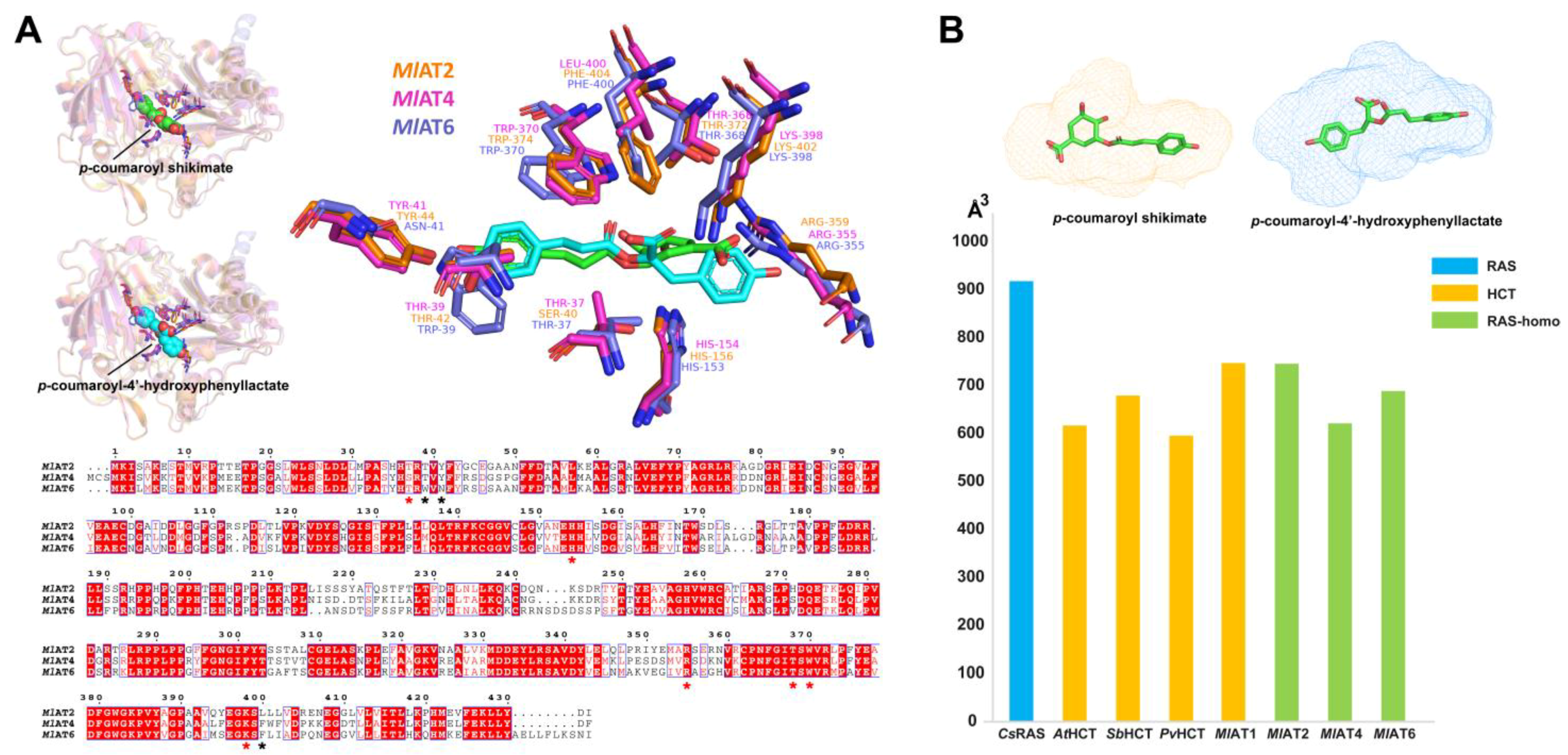Plants 13 00512 g004