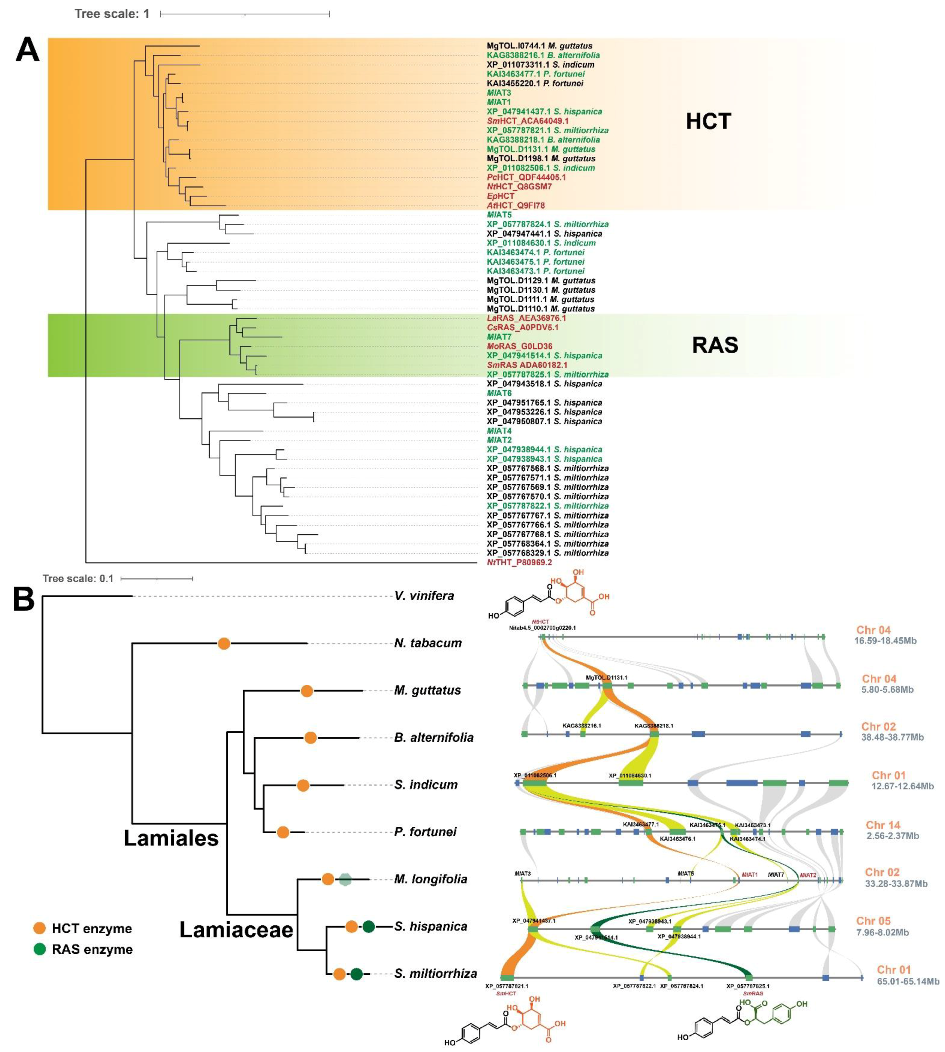 Plants 13 00512 g005