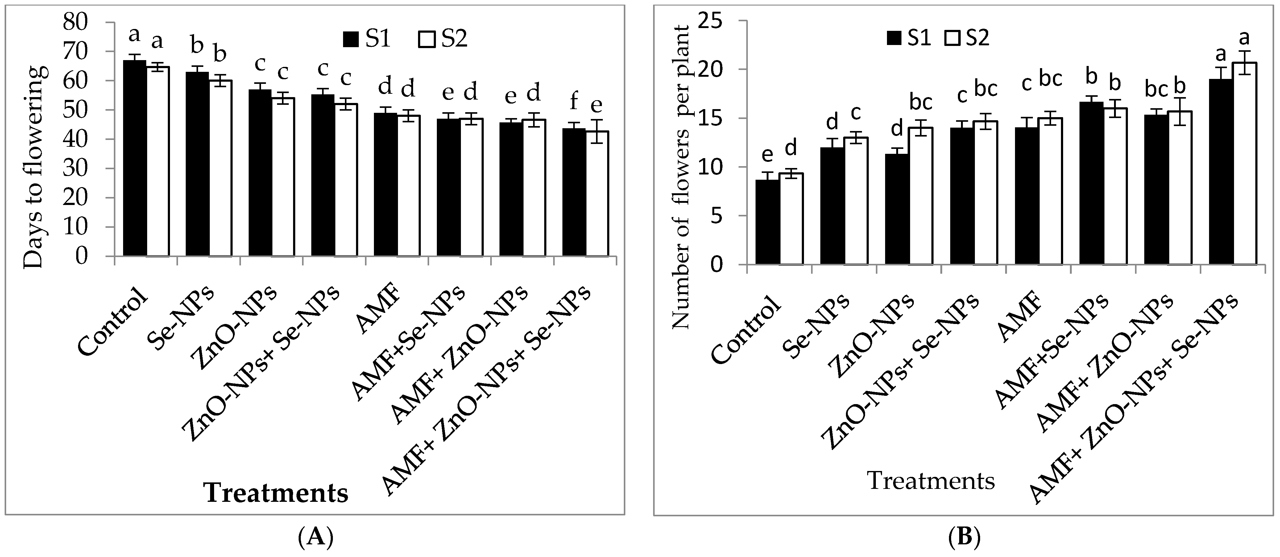 Plants 13 00517 g001