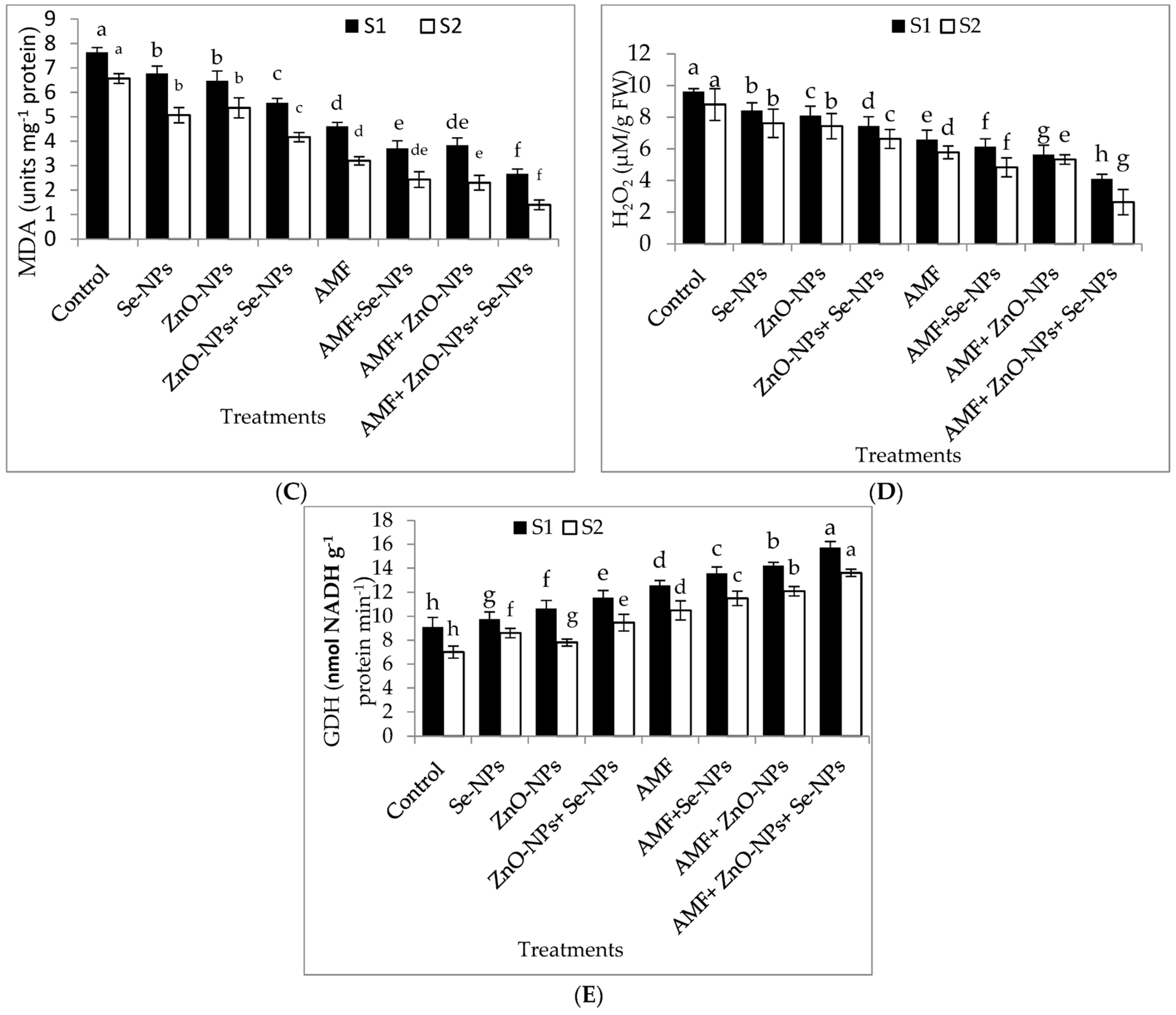 Plants 13 00517 g004b