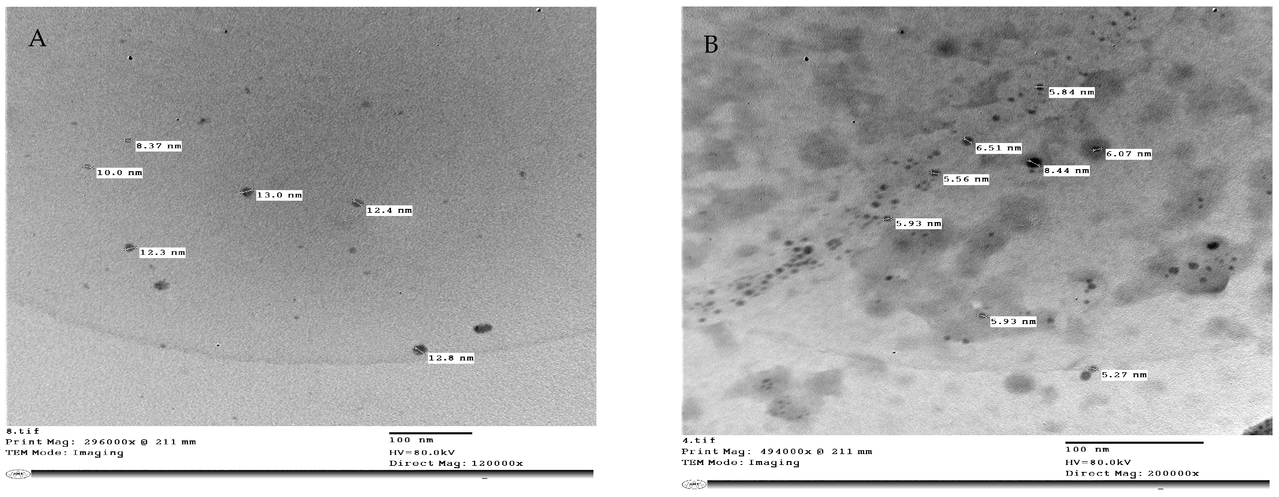 Plants 13 00517 g012