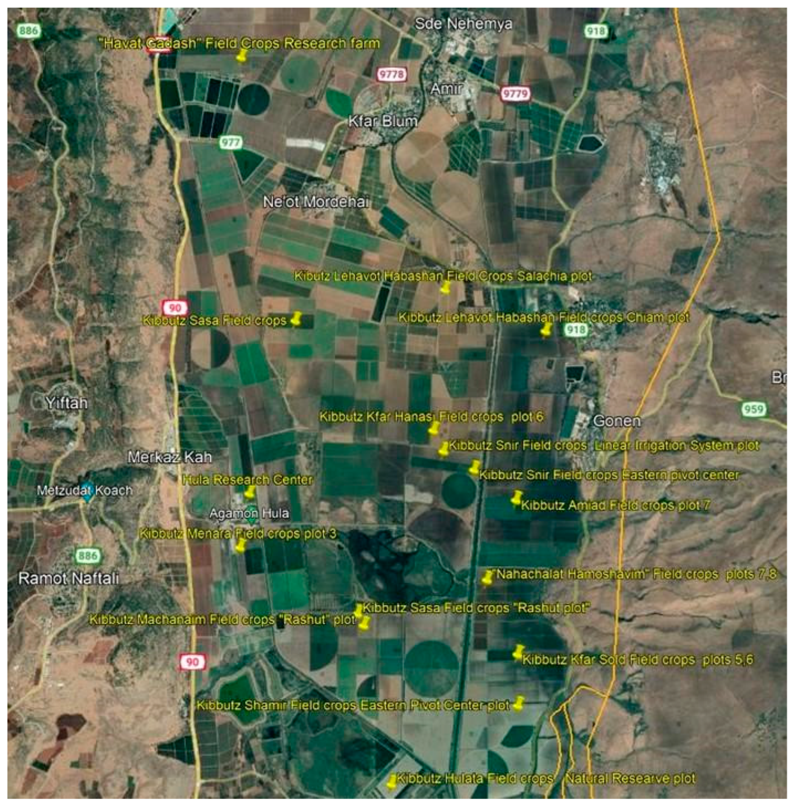 Plants 13 00518 g005