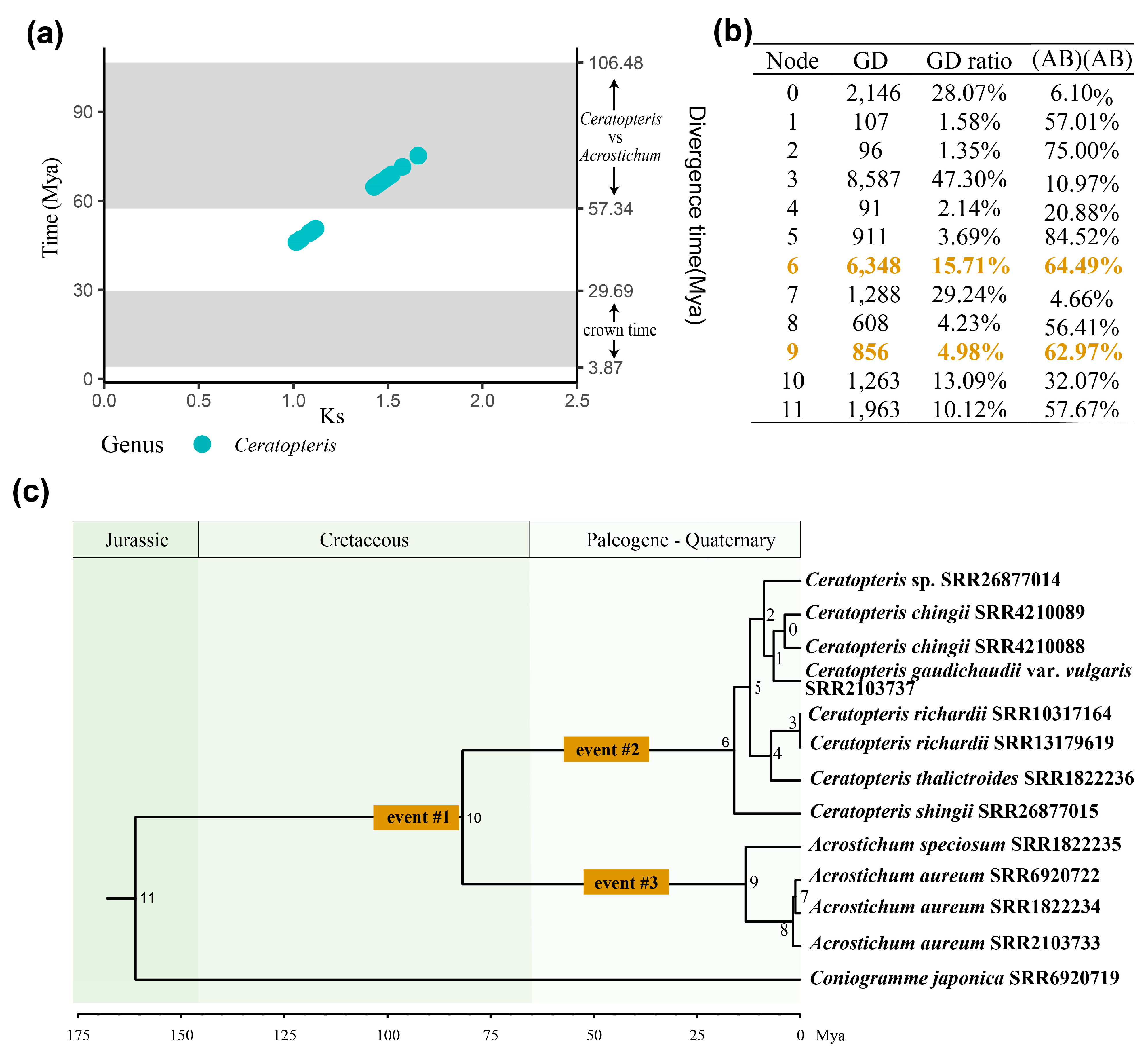 Plants 13 00521 g002