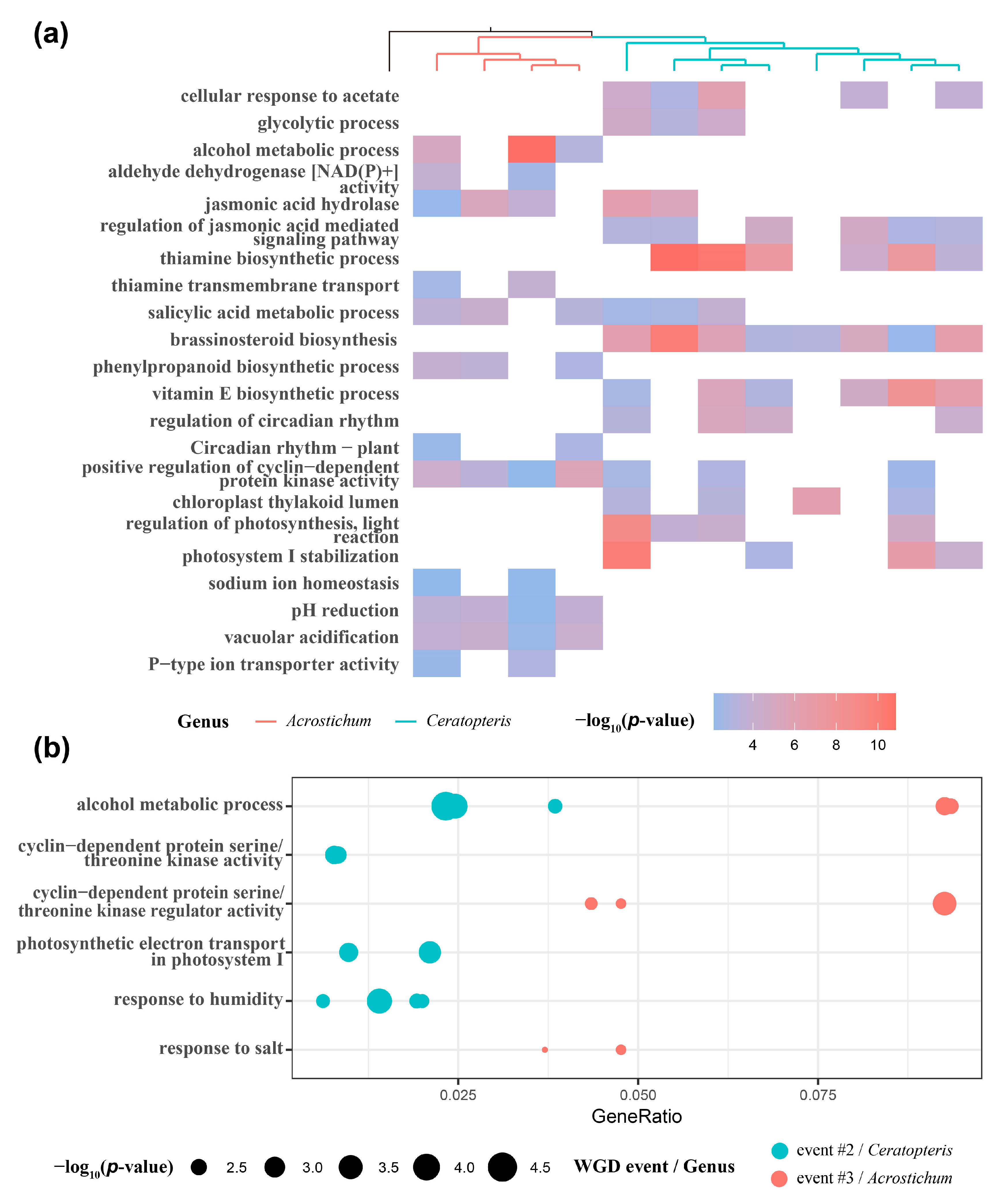 Plants 13 00521 g003