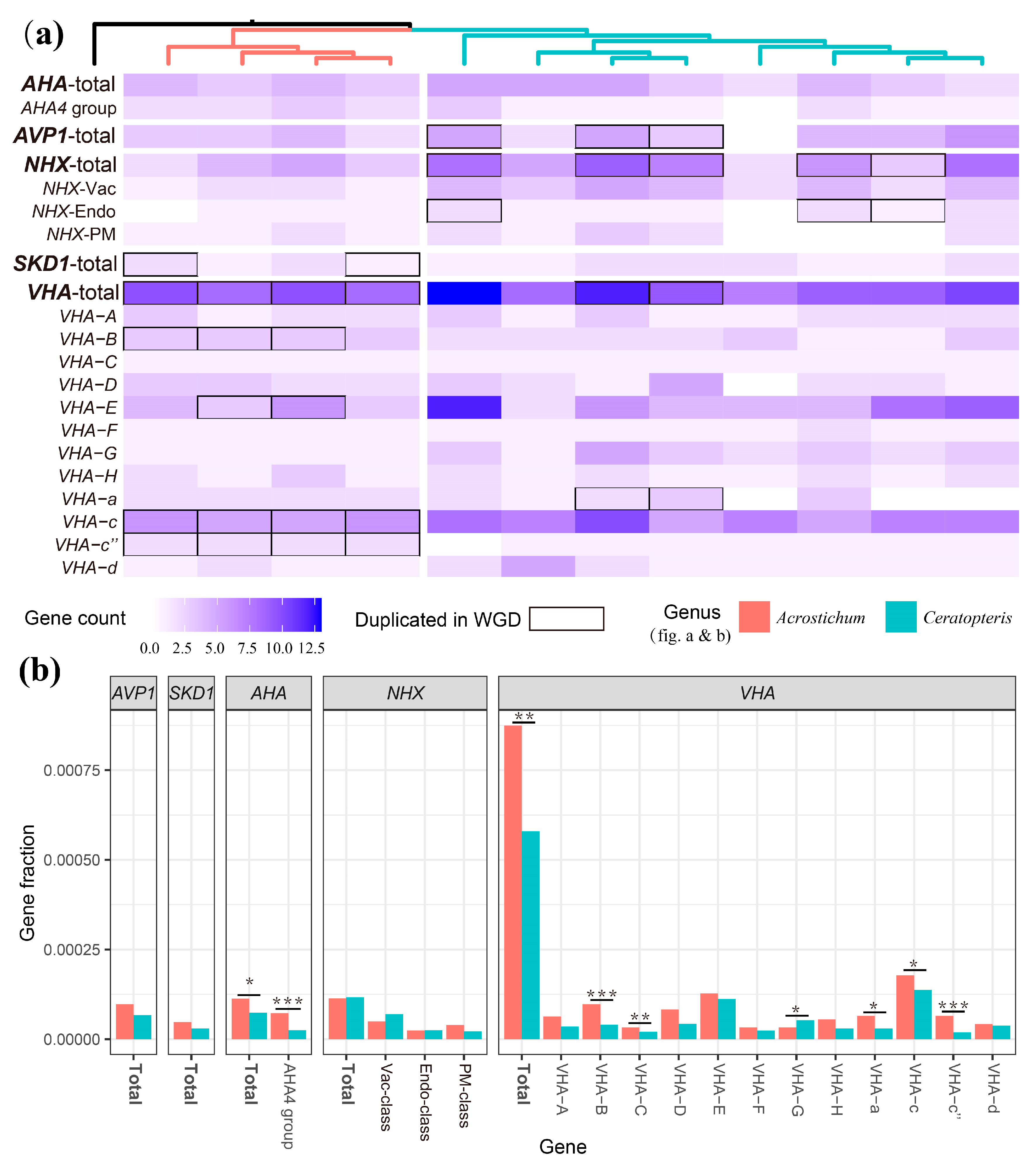 Plants 13 00521 g004
