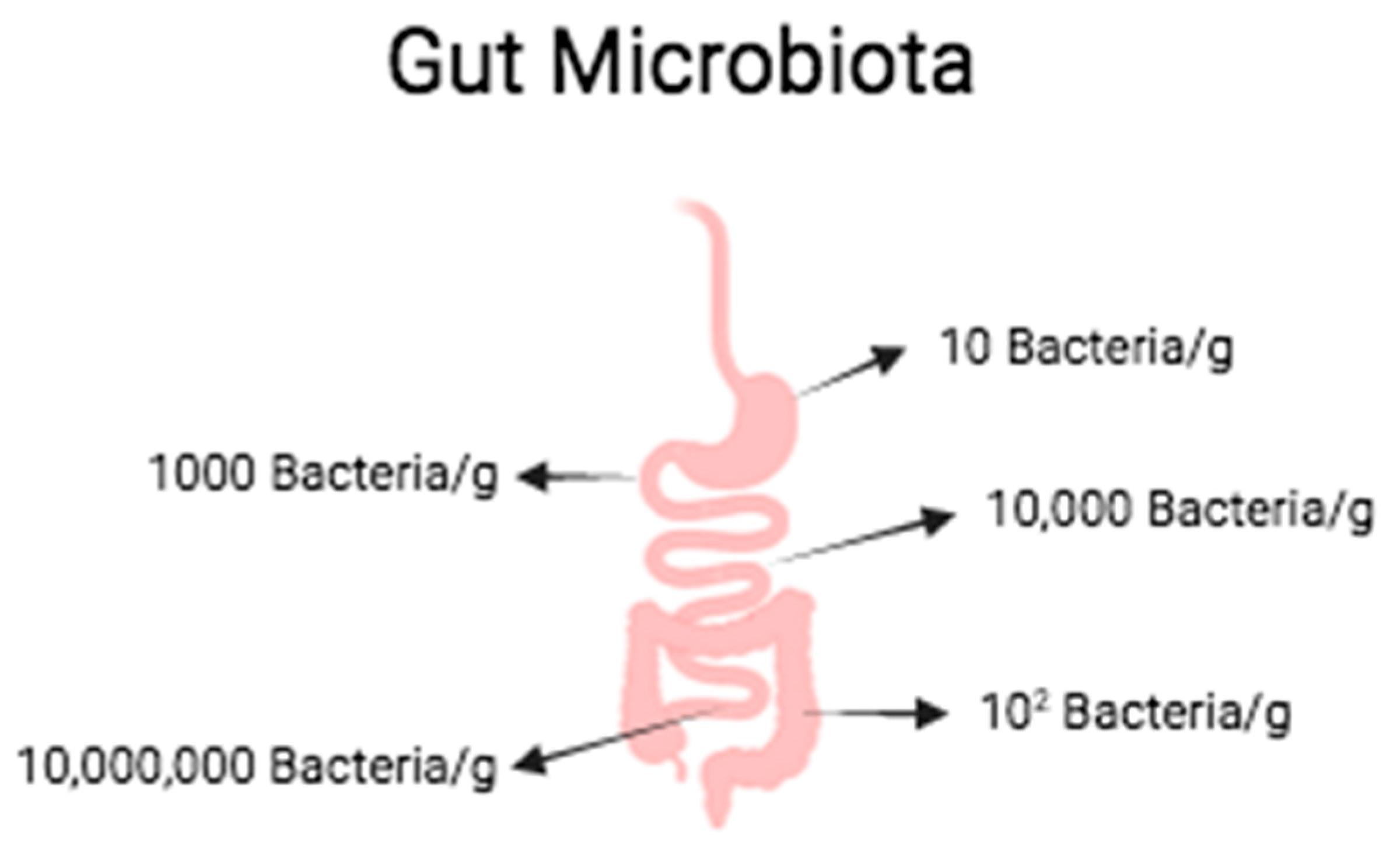 Plants 13 00523 g002