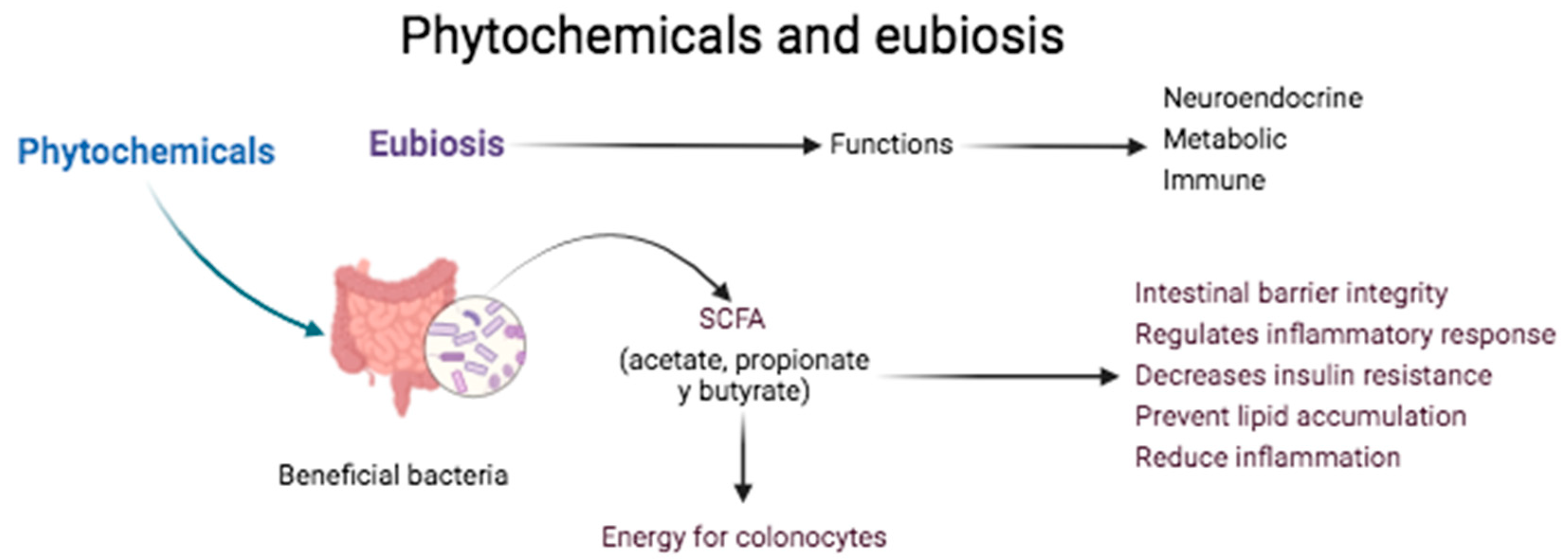 Plants 13 00523 g003