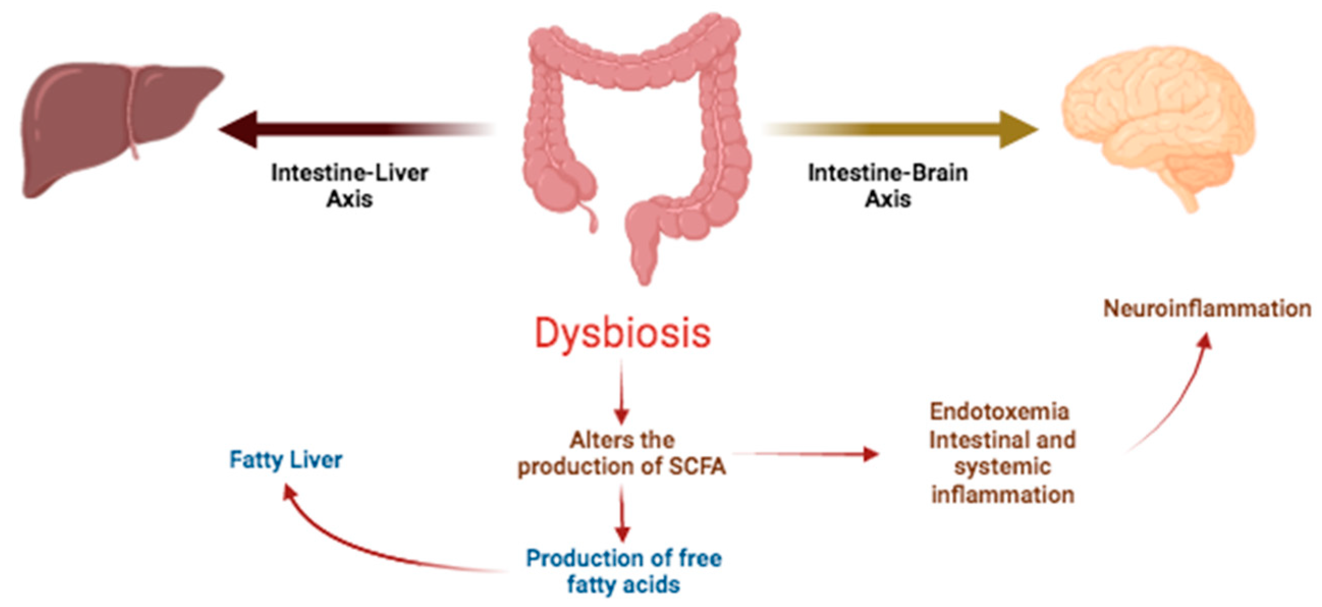Plants 13 00523 g004