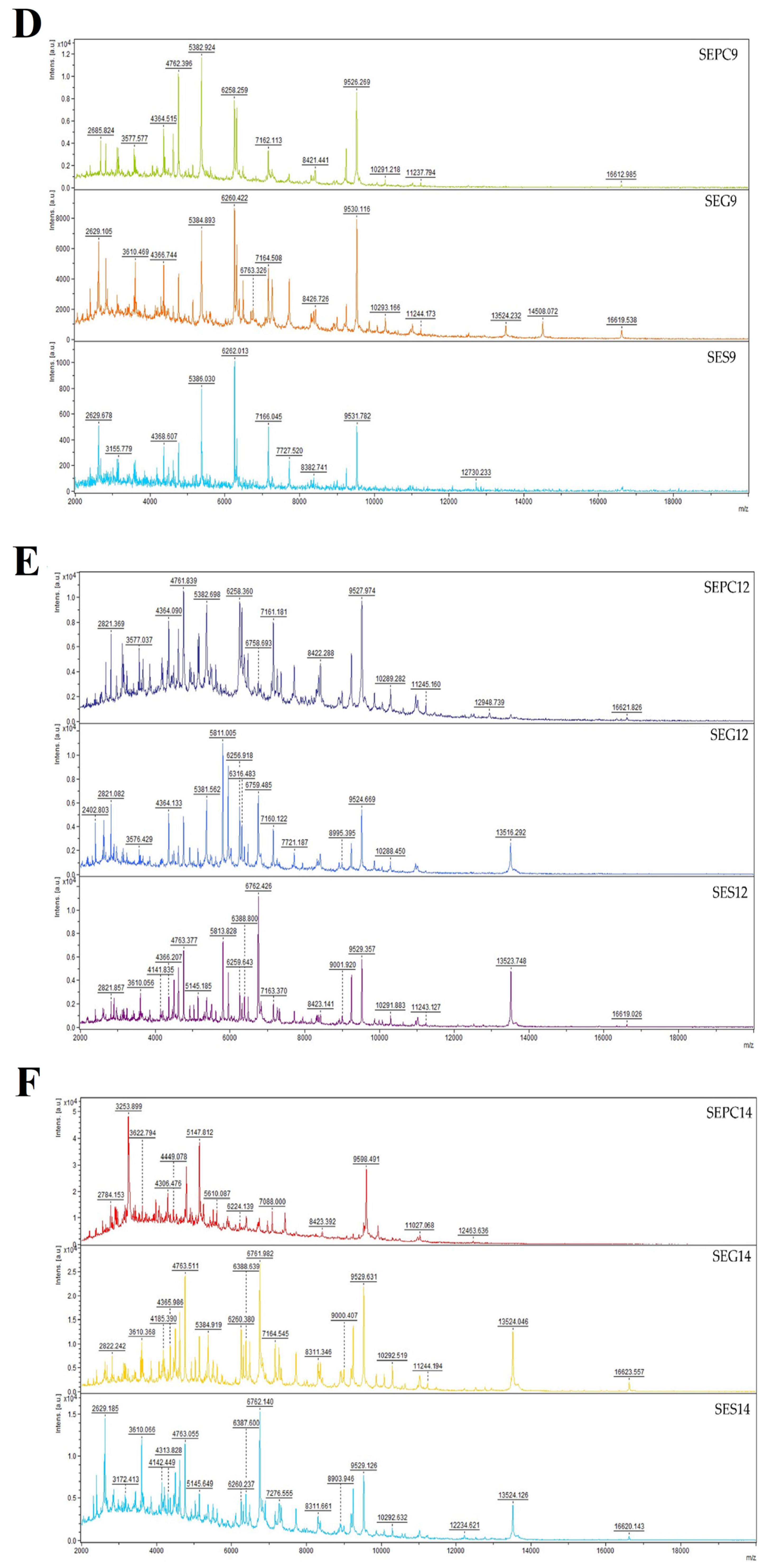 Plants 13 00524 g002b