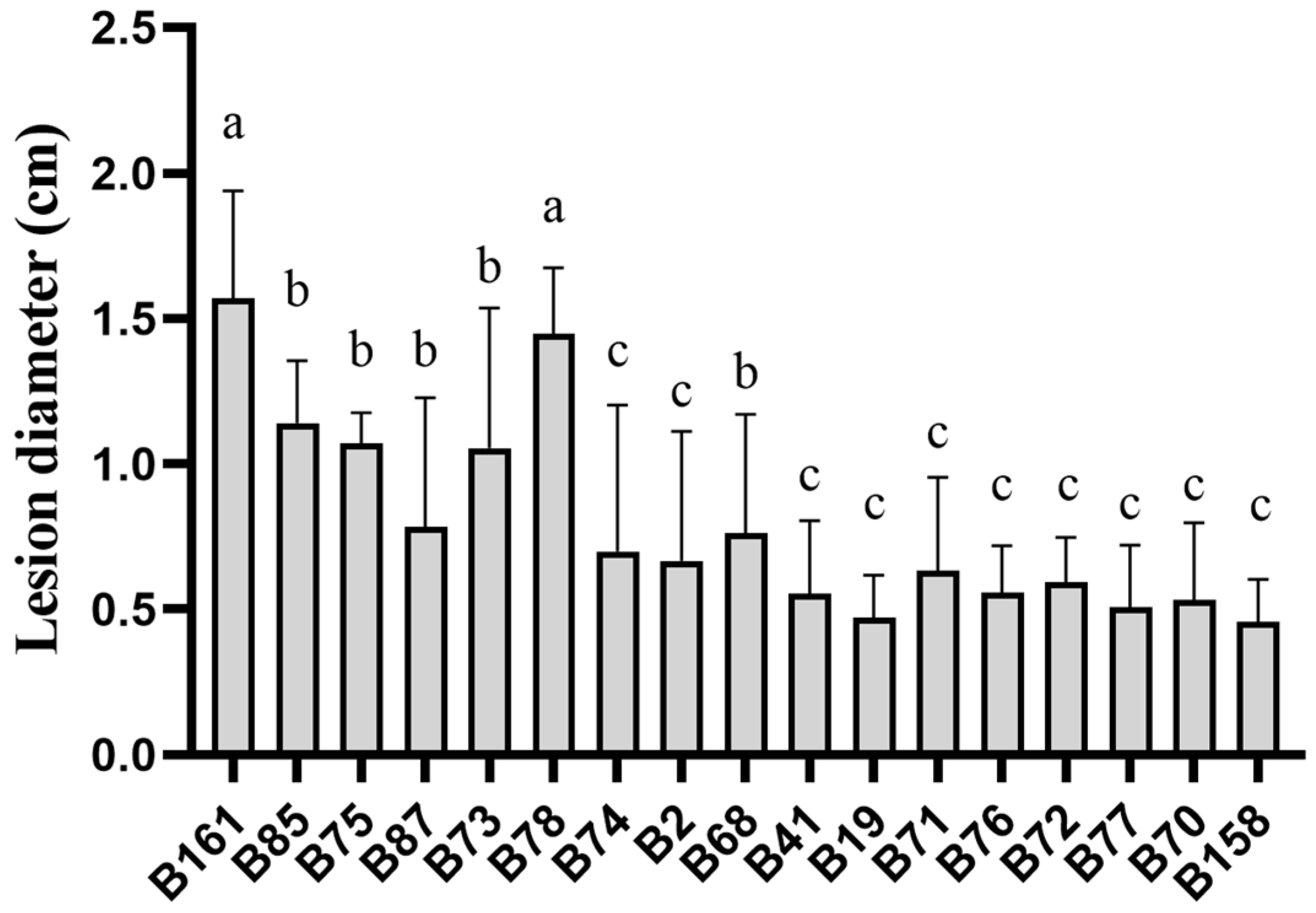 Plants 13 00527 g002