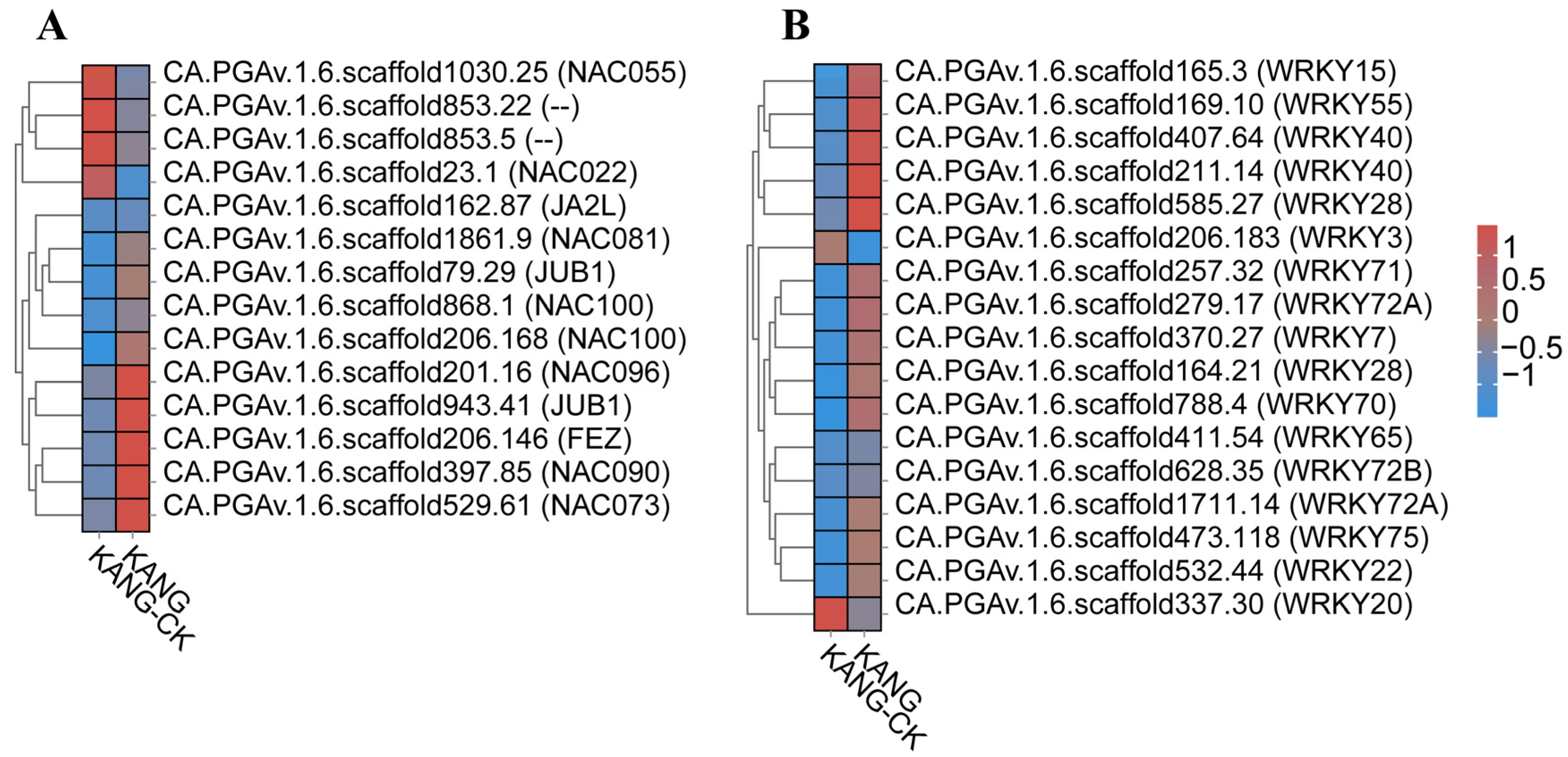 Plants 13 00527 g008