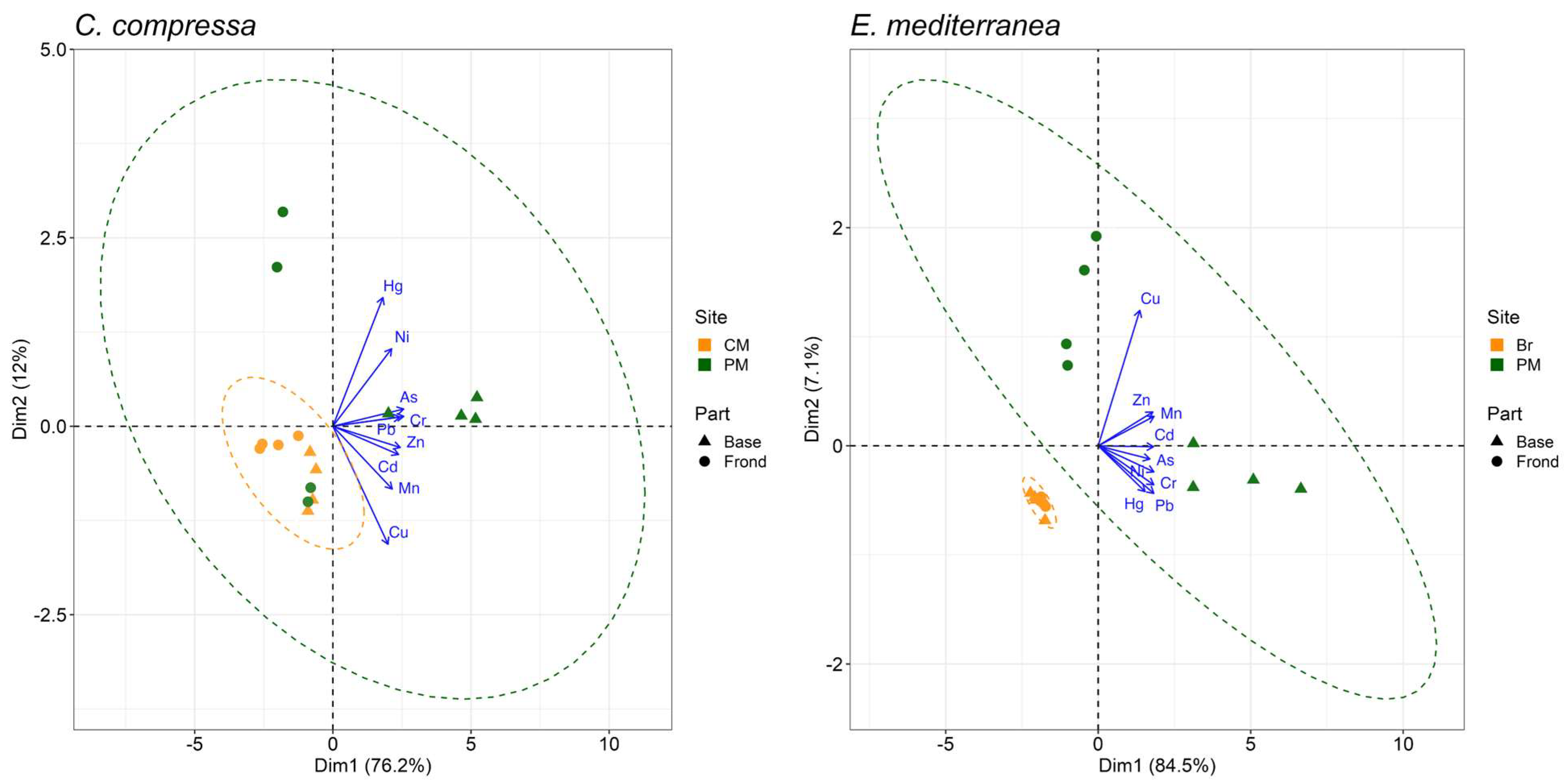 Plants 13 00530 g003