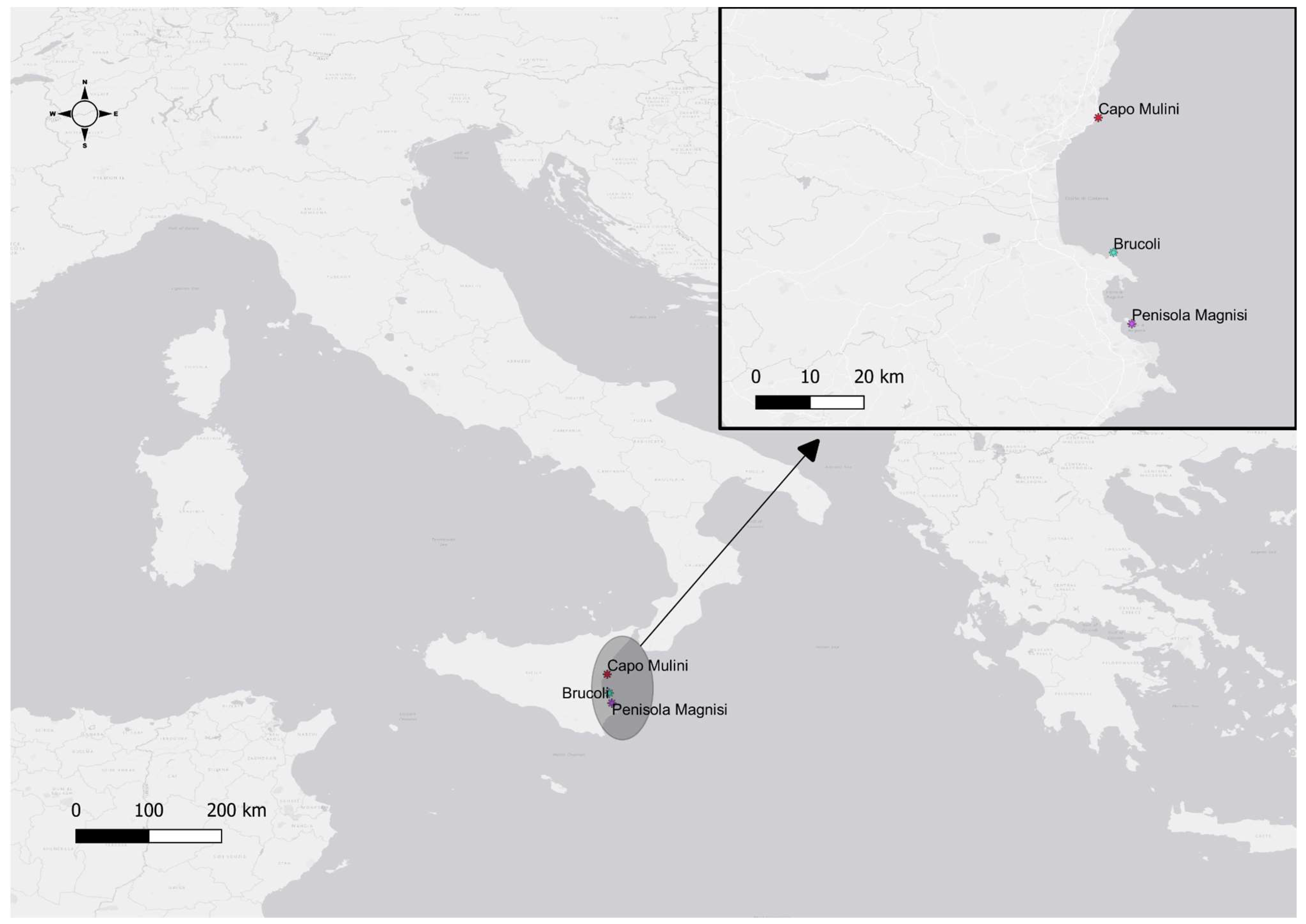 Plants 13 00530 g004