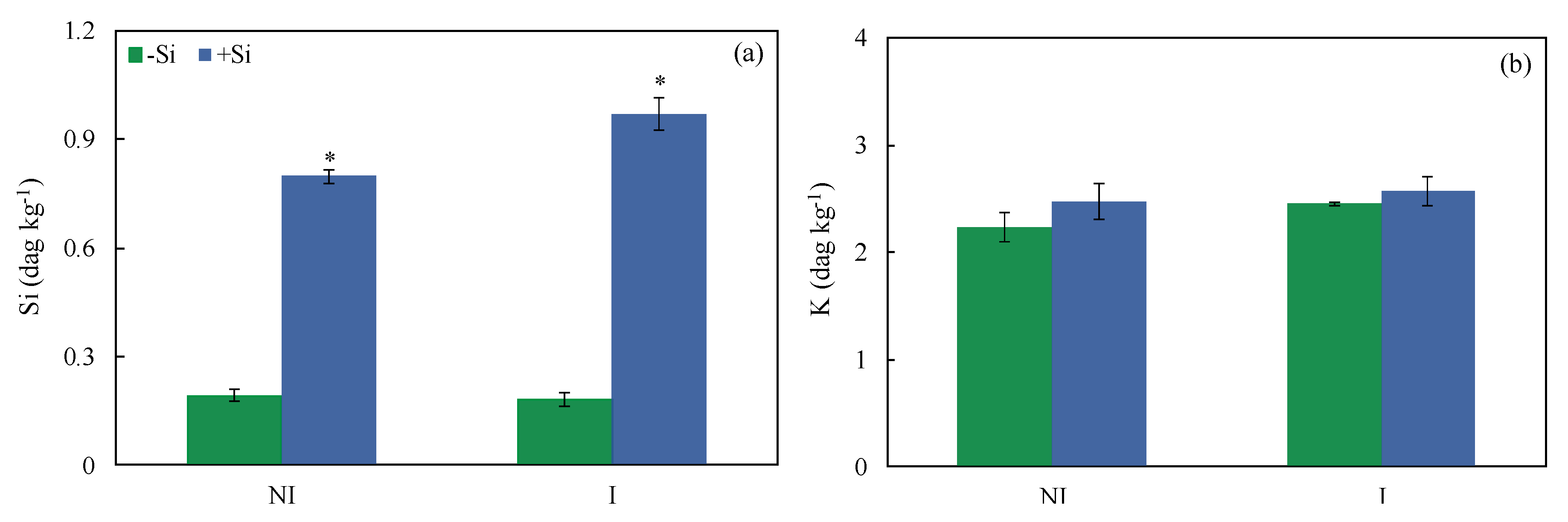 Plants 13 00531 g001
