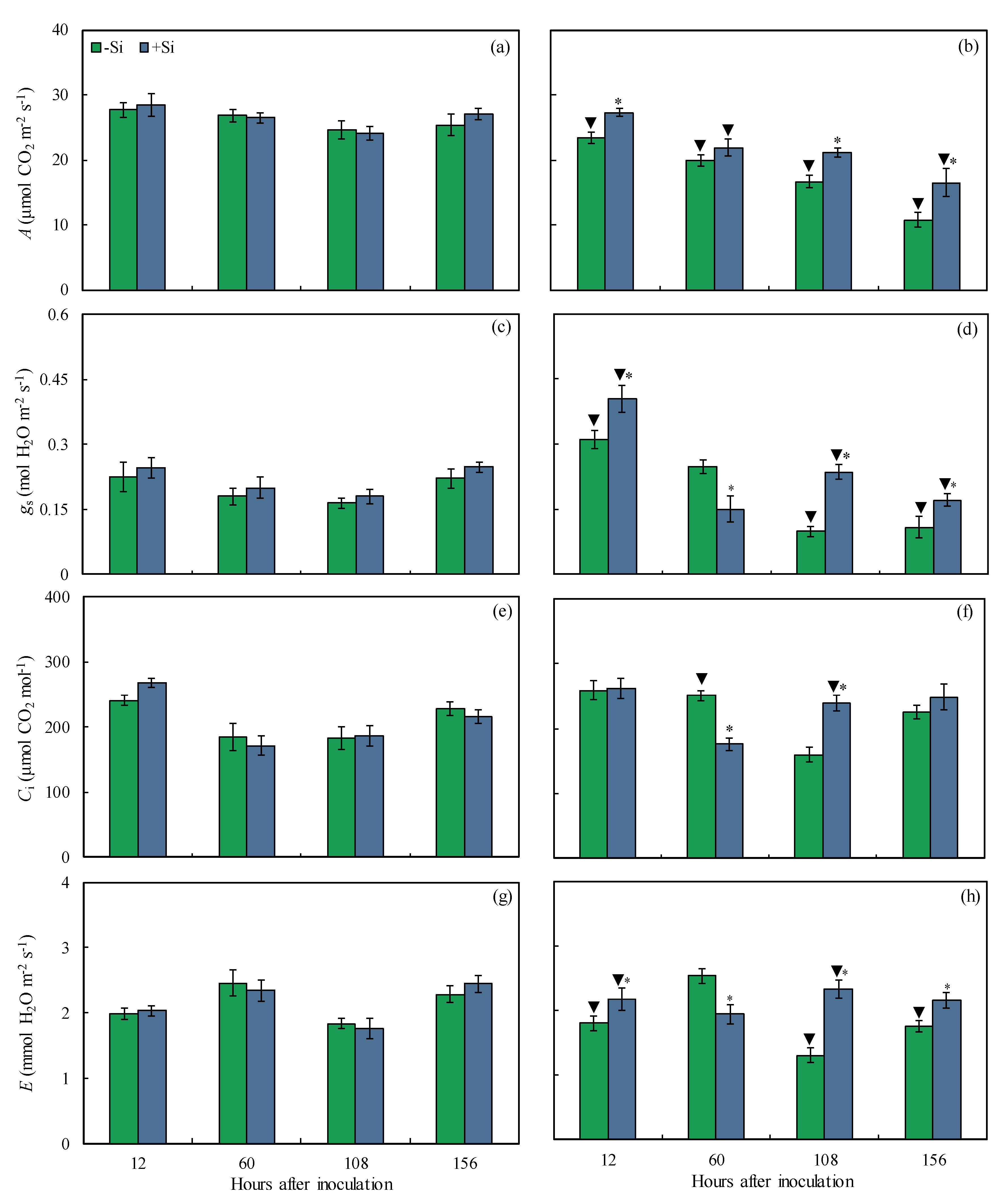 Plants 13 00531 g004