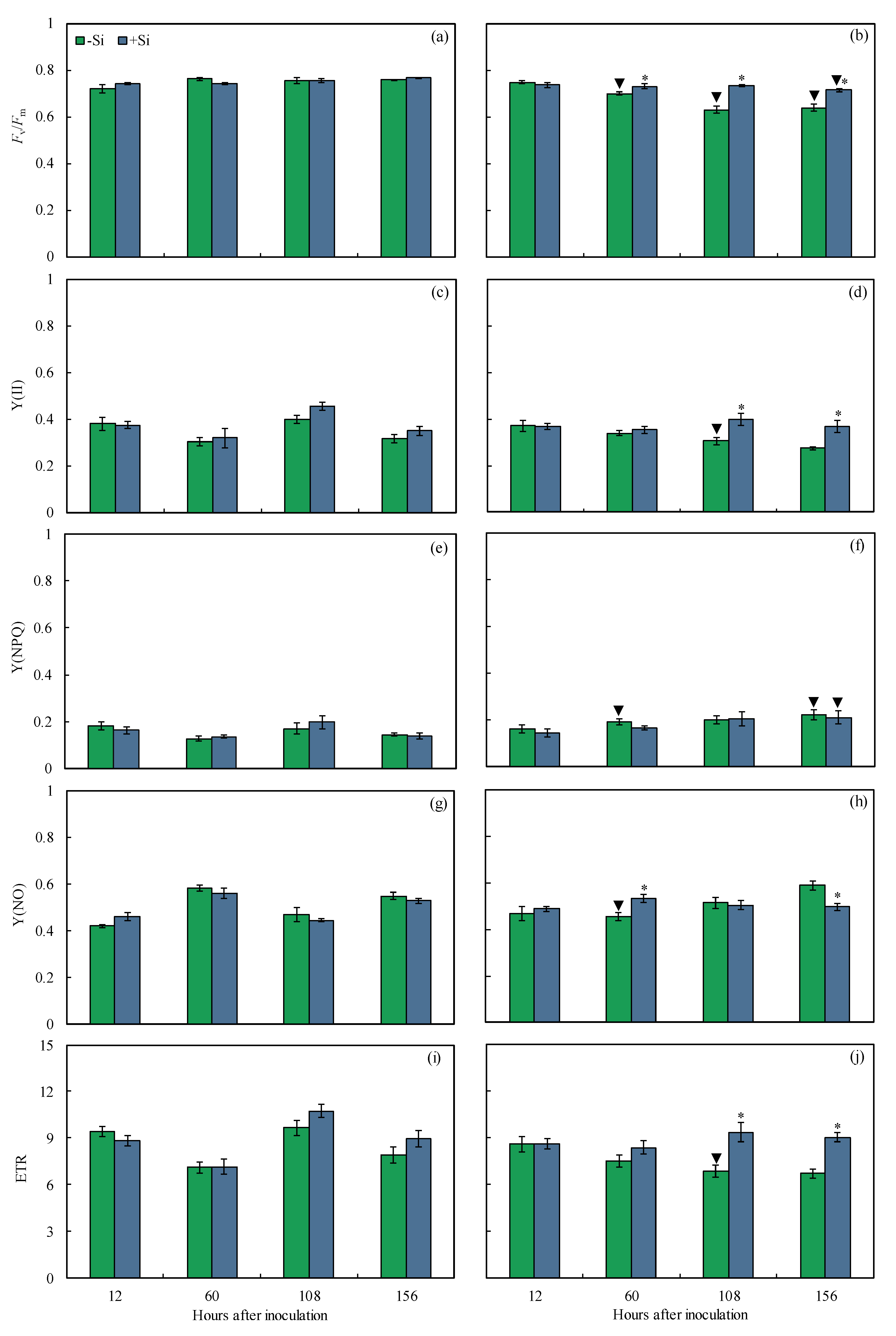 Plants 13 00531 g006
