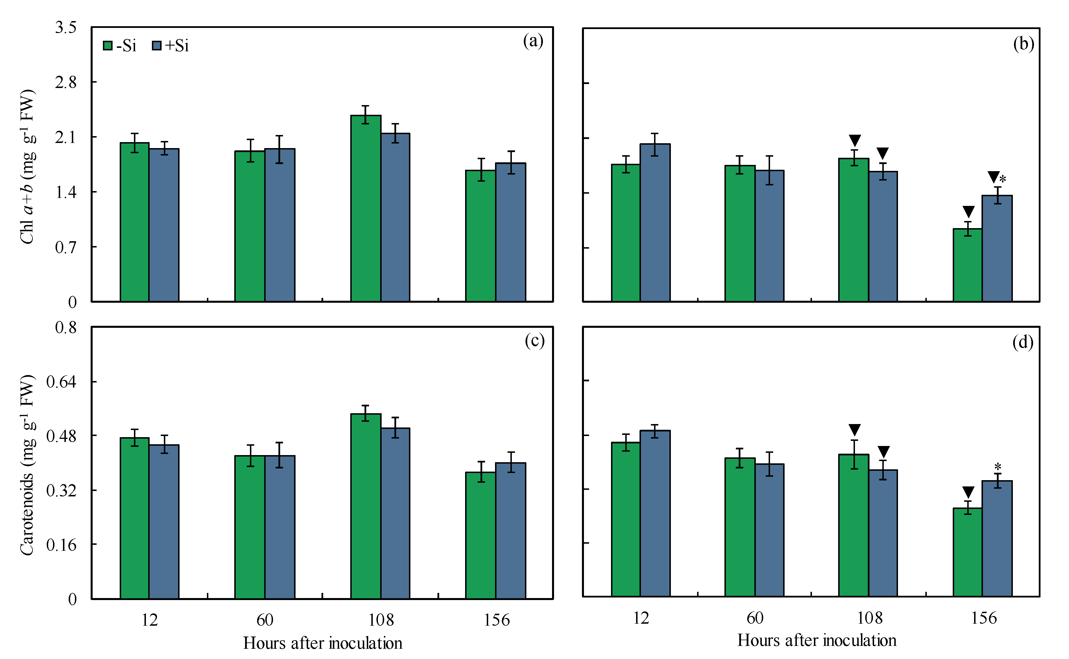 Plants 13 00531 g007