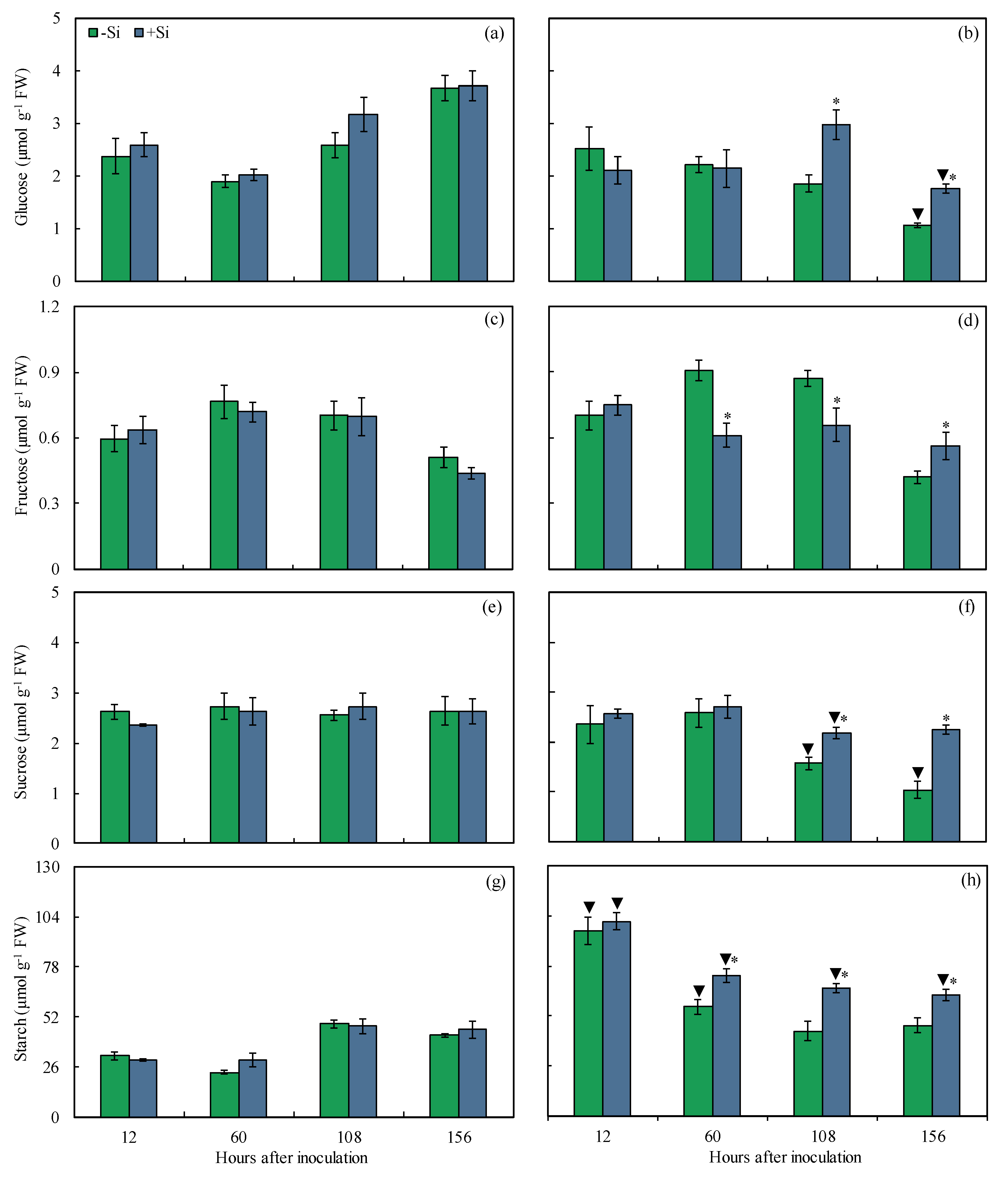 Plants 13 00531 g008