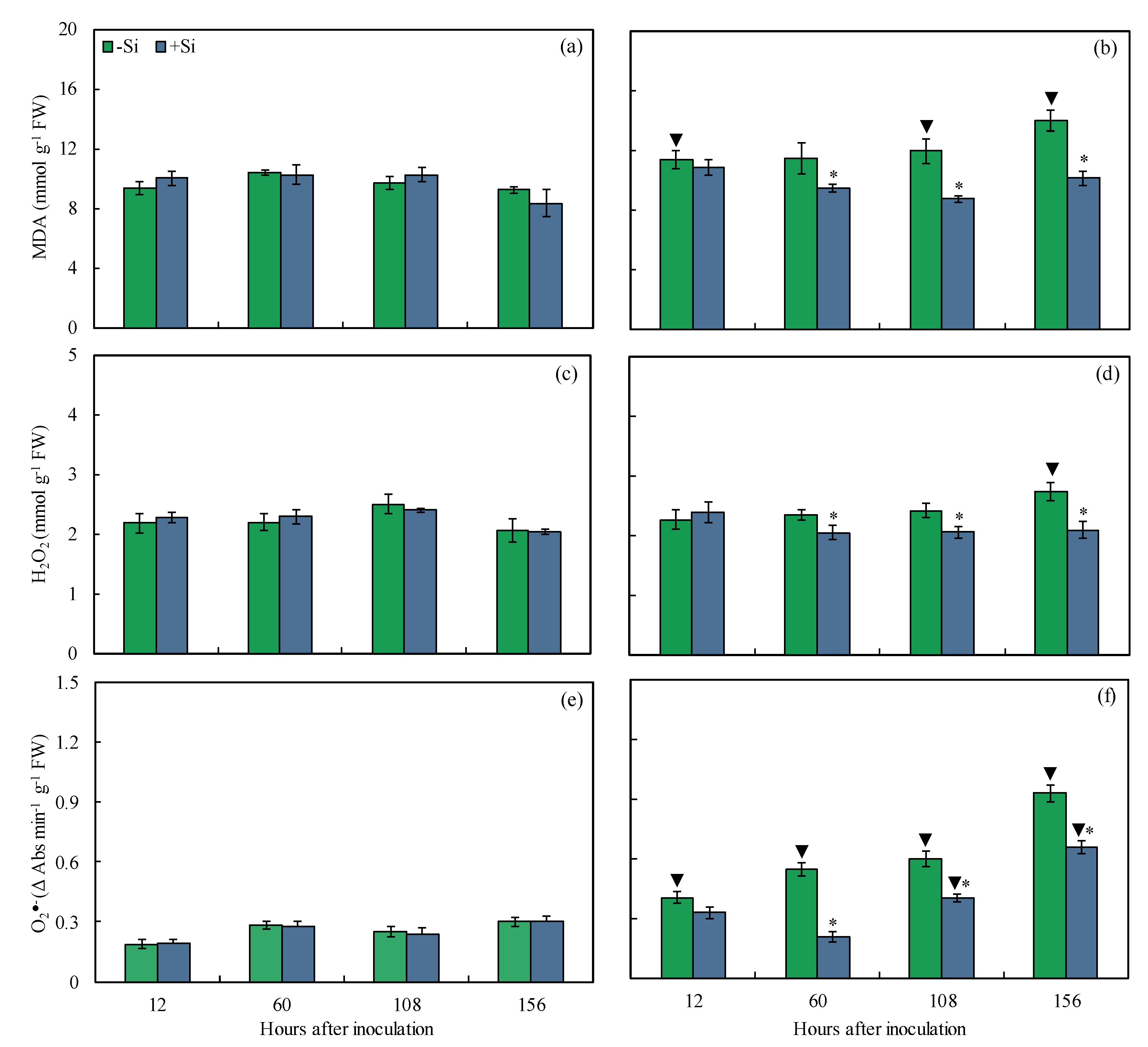 Plants 13 00531 g009