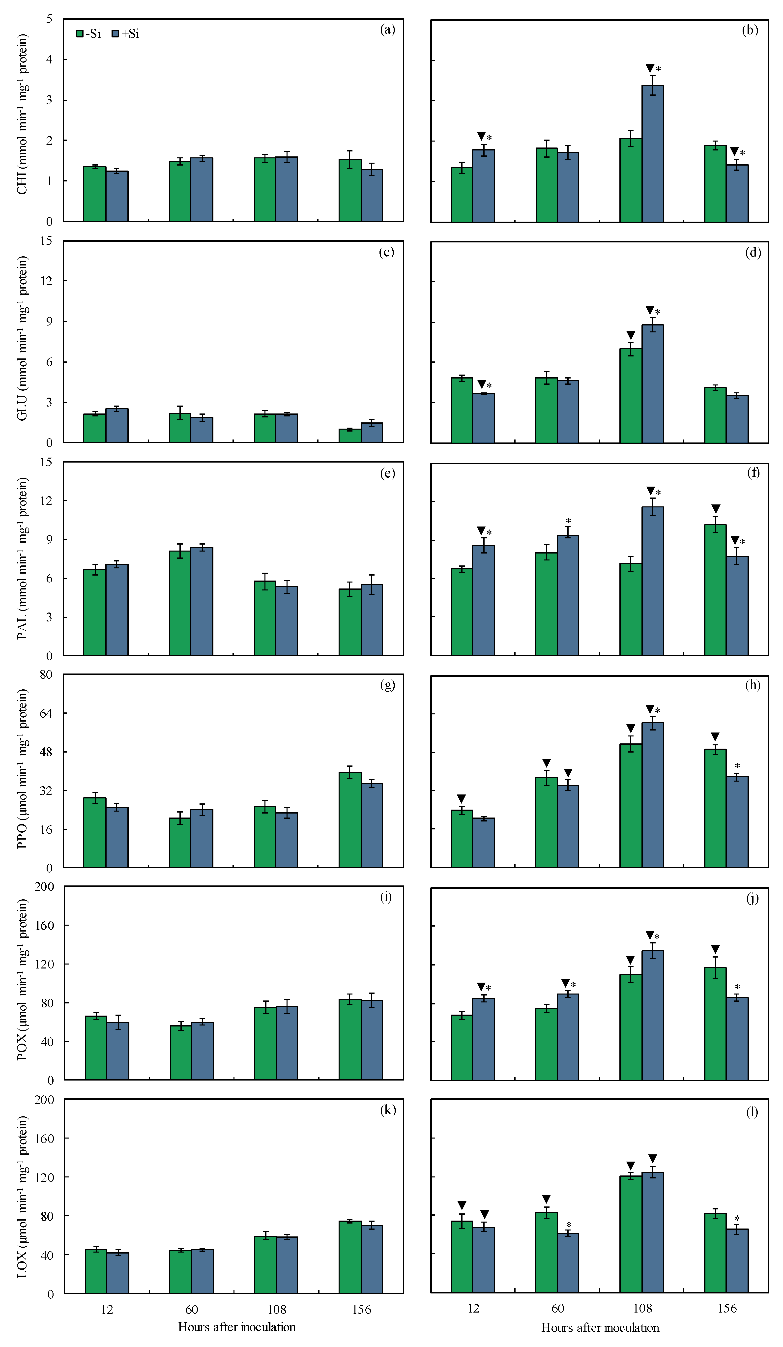 Plants 13 00531 g010