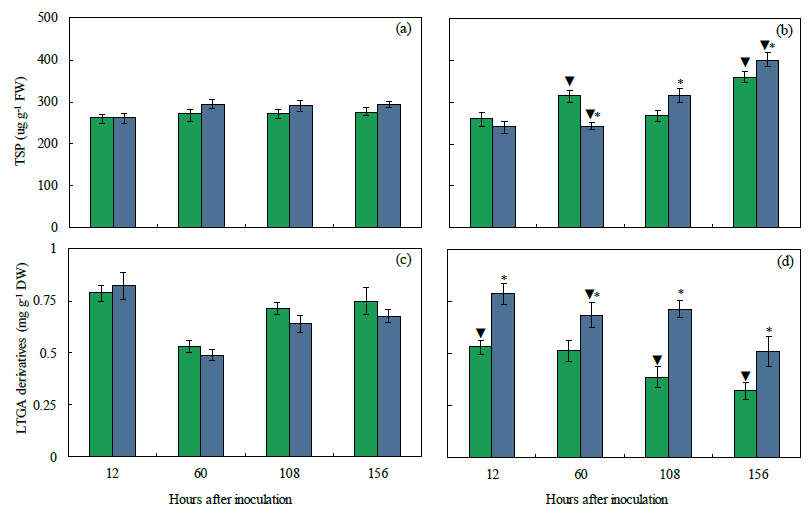 Plants 13 00531 g011