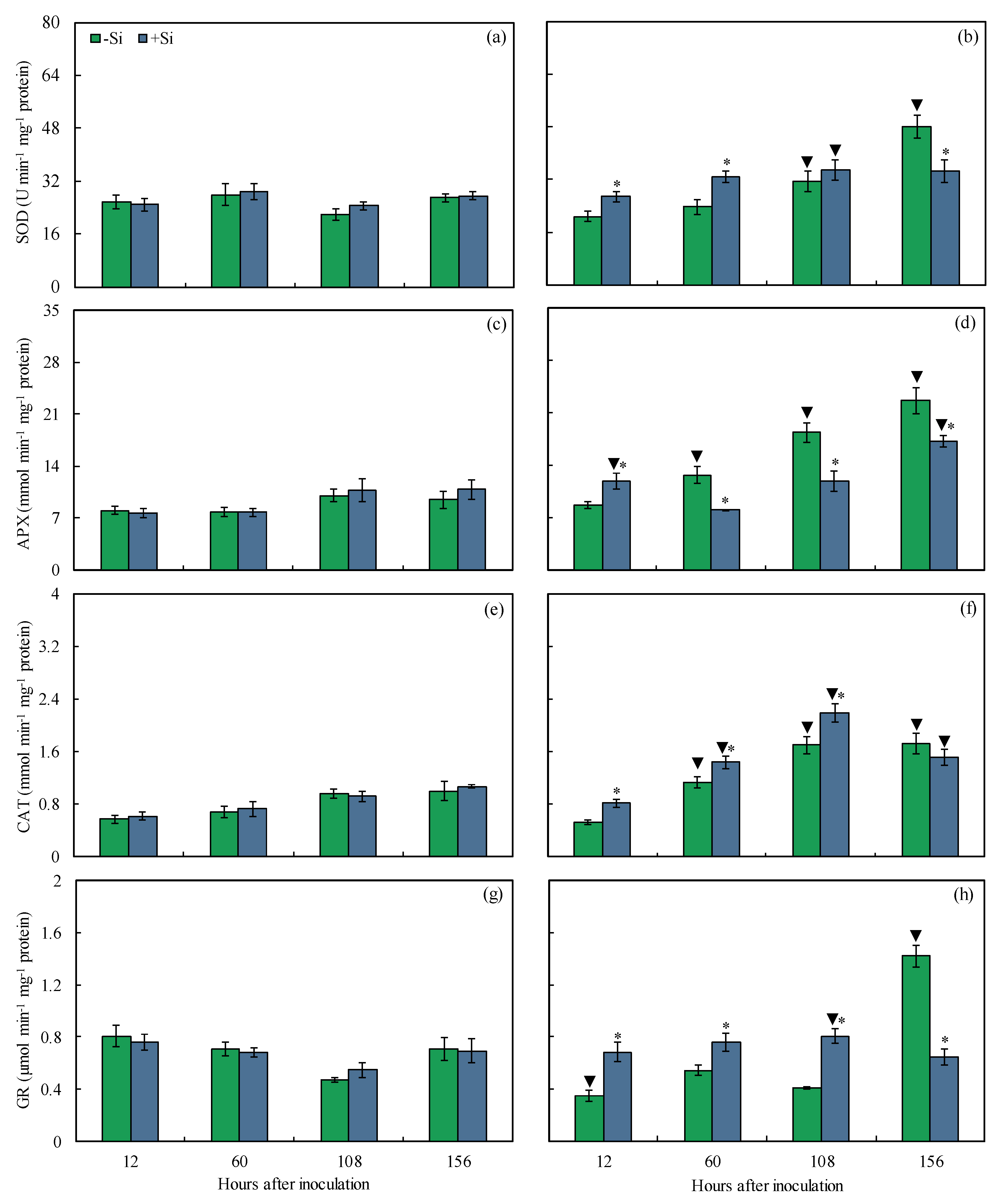 Plants 13 00531 g012