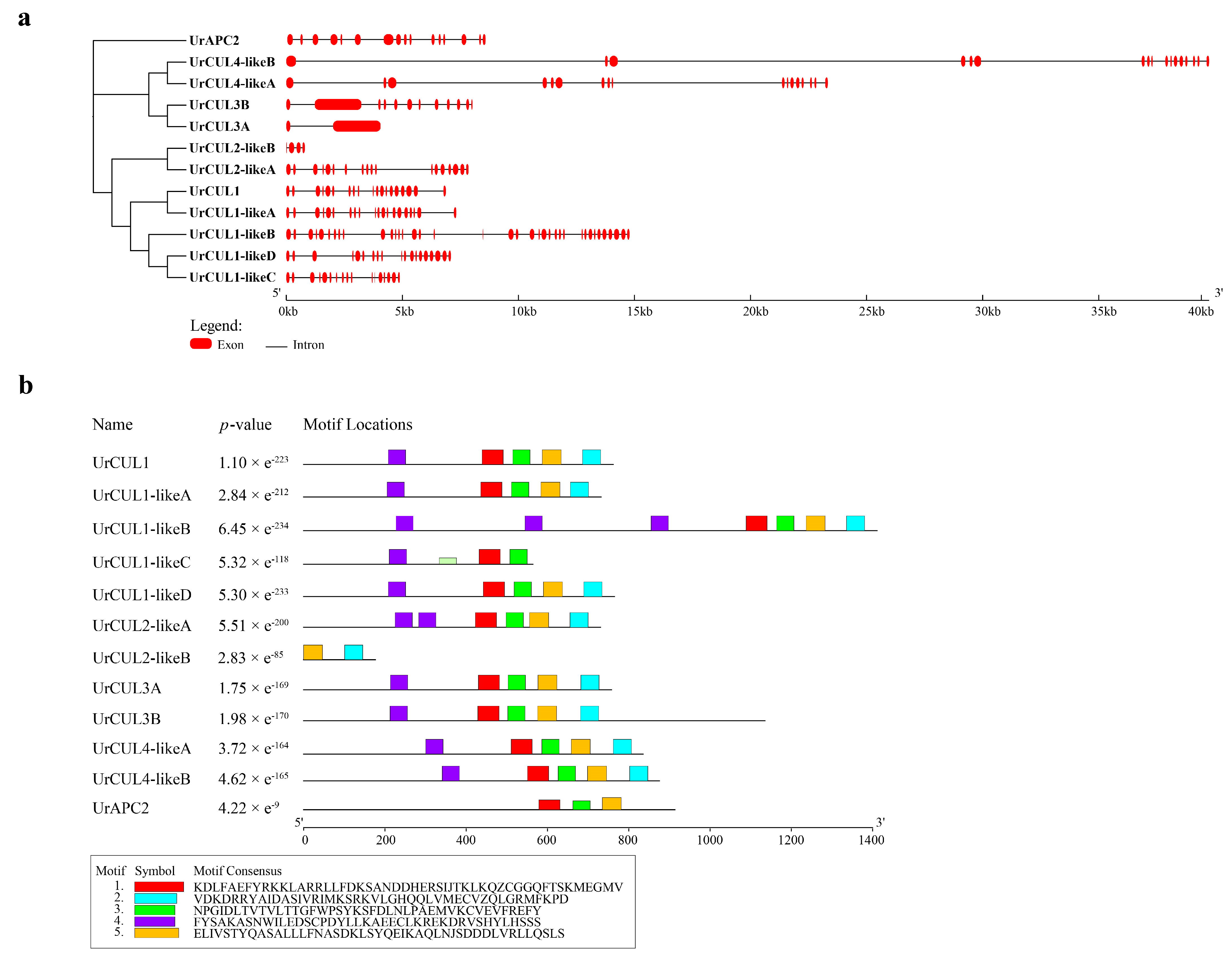 Plants 13 00532 g003