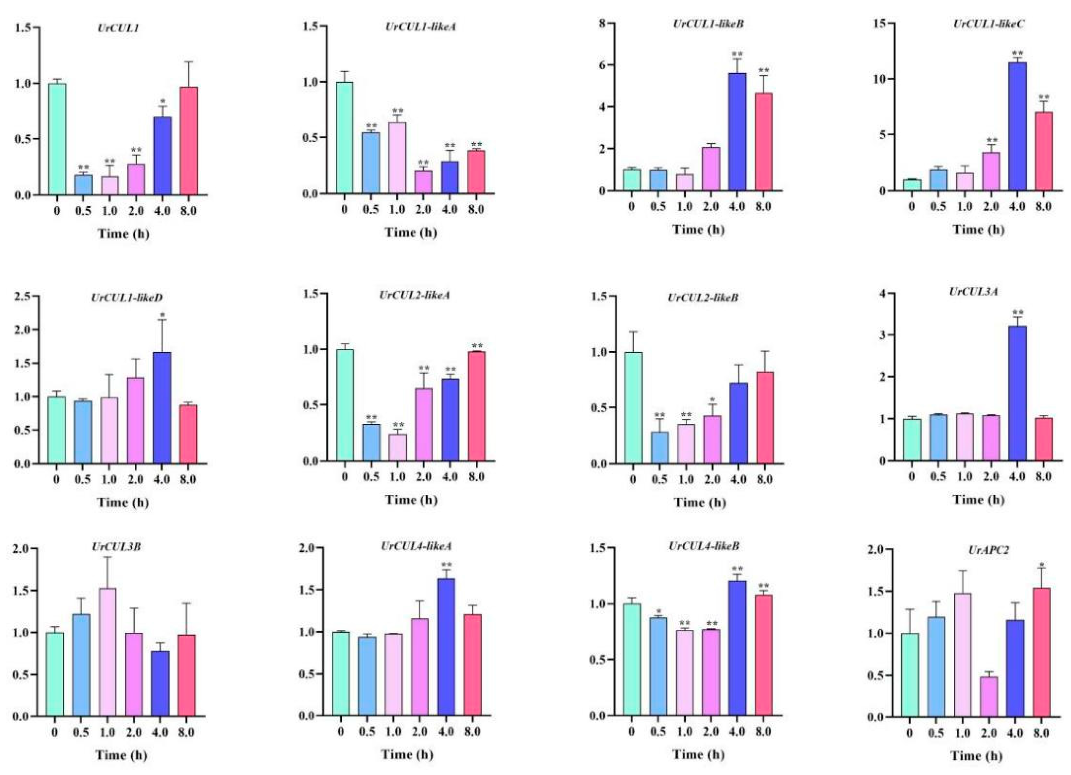 Plants 13 00532 g006