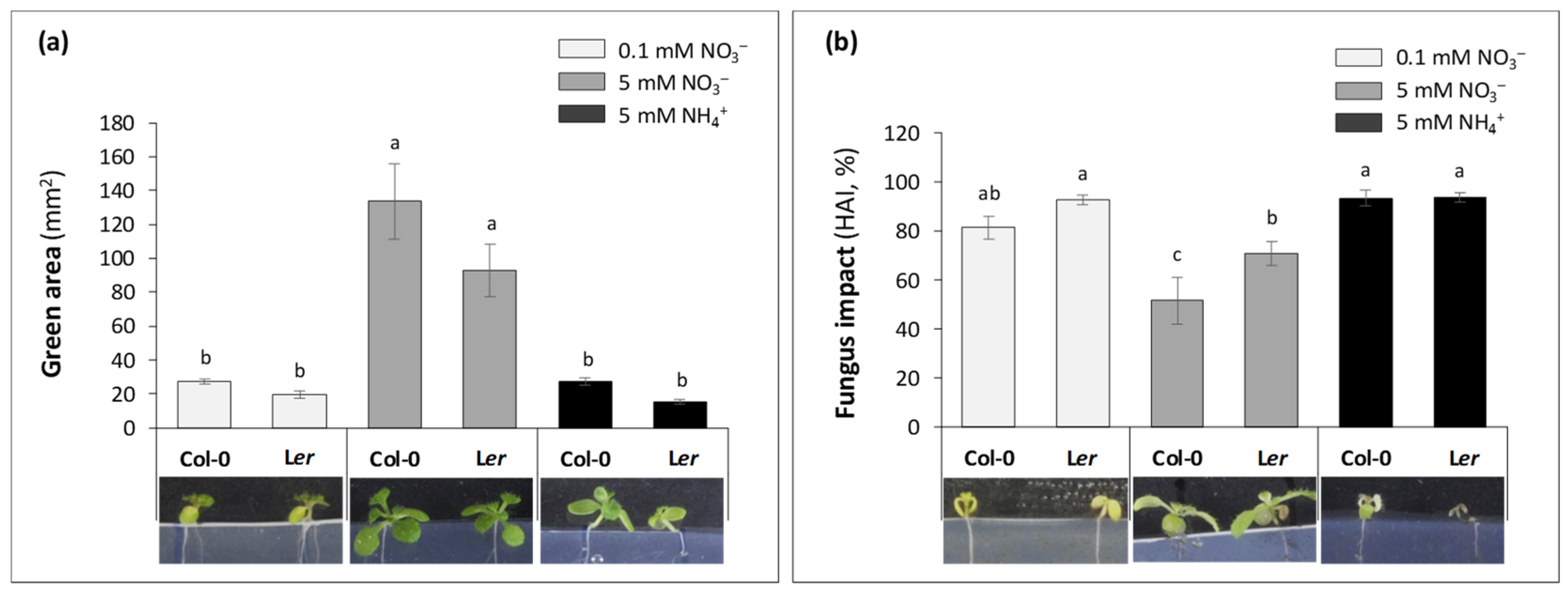Plants 13 00534 g002 Plants 13 00534 g002