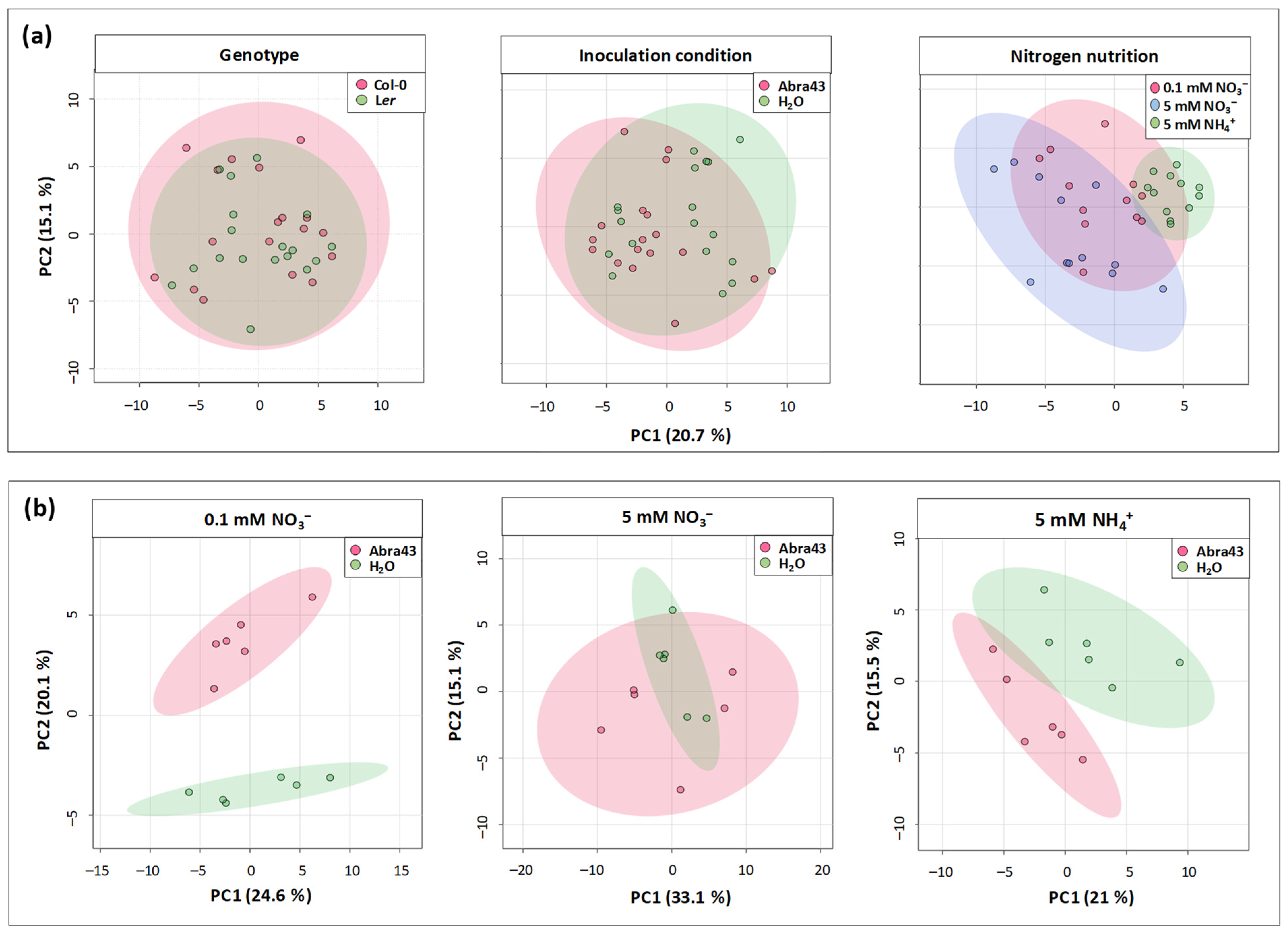 Plants 13 00534 g004 Plants 13 00534 g004