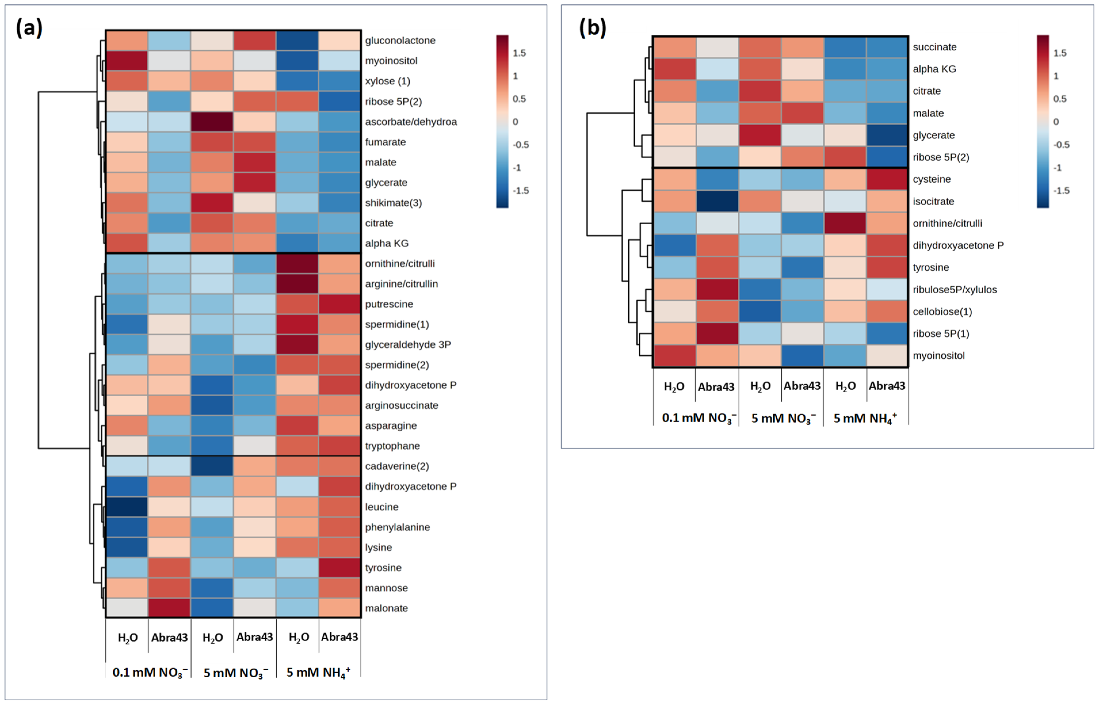 Plants 13 00534 g005 Plants 13 00534 g005
