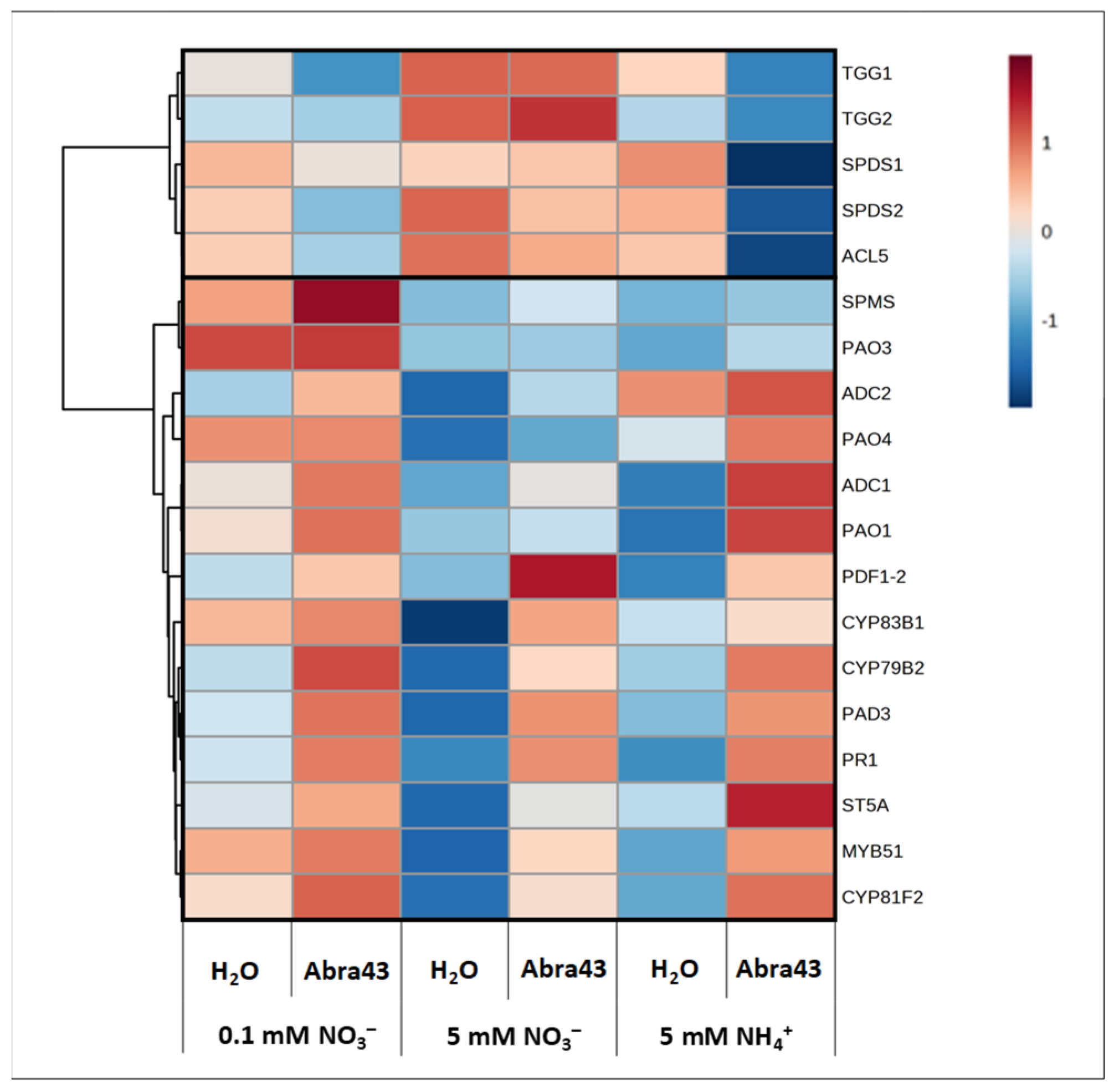 Plants 13 00534 g007 Plants 13 00534 g007
