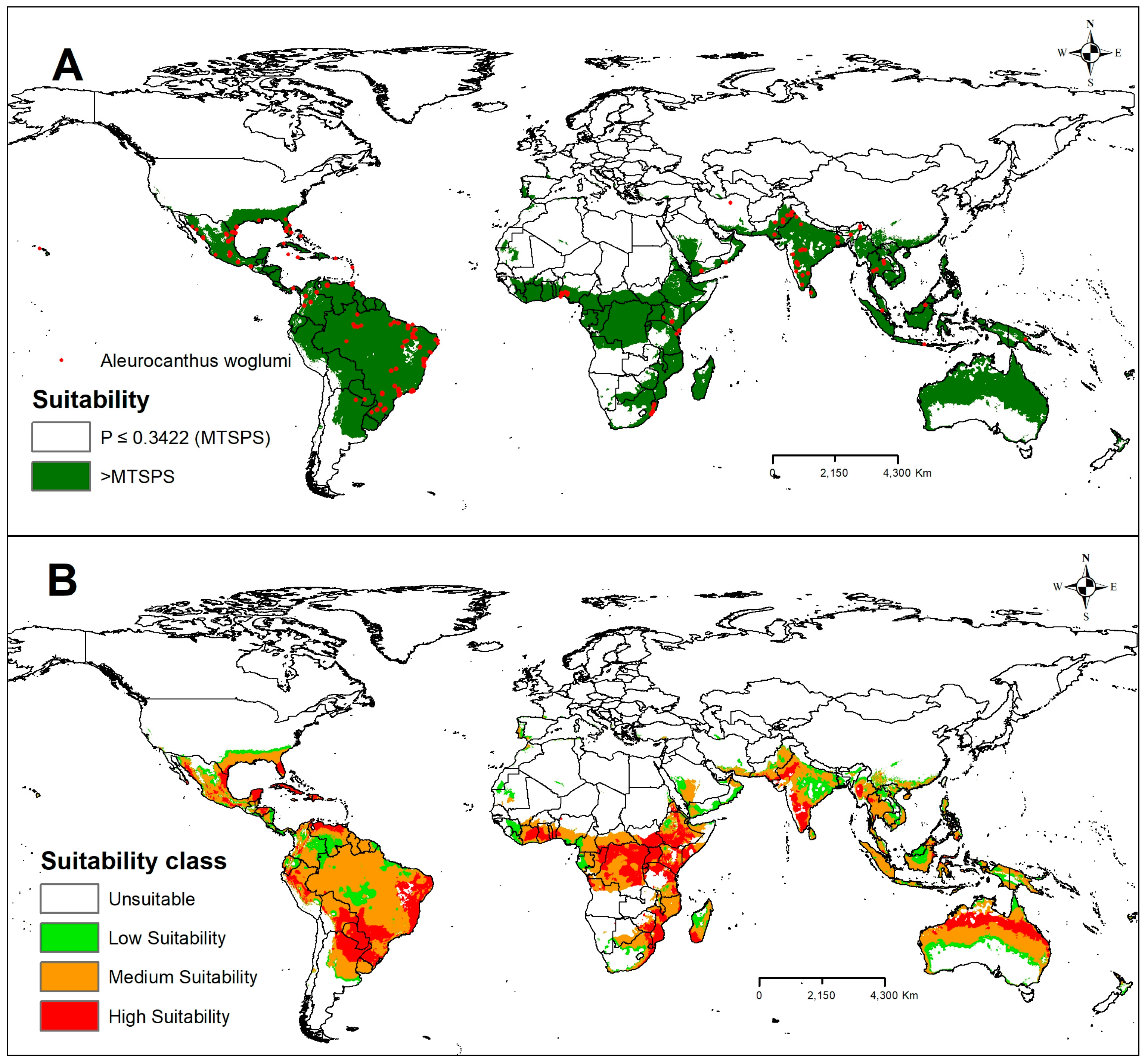 Plants 13 00535 g004
